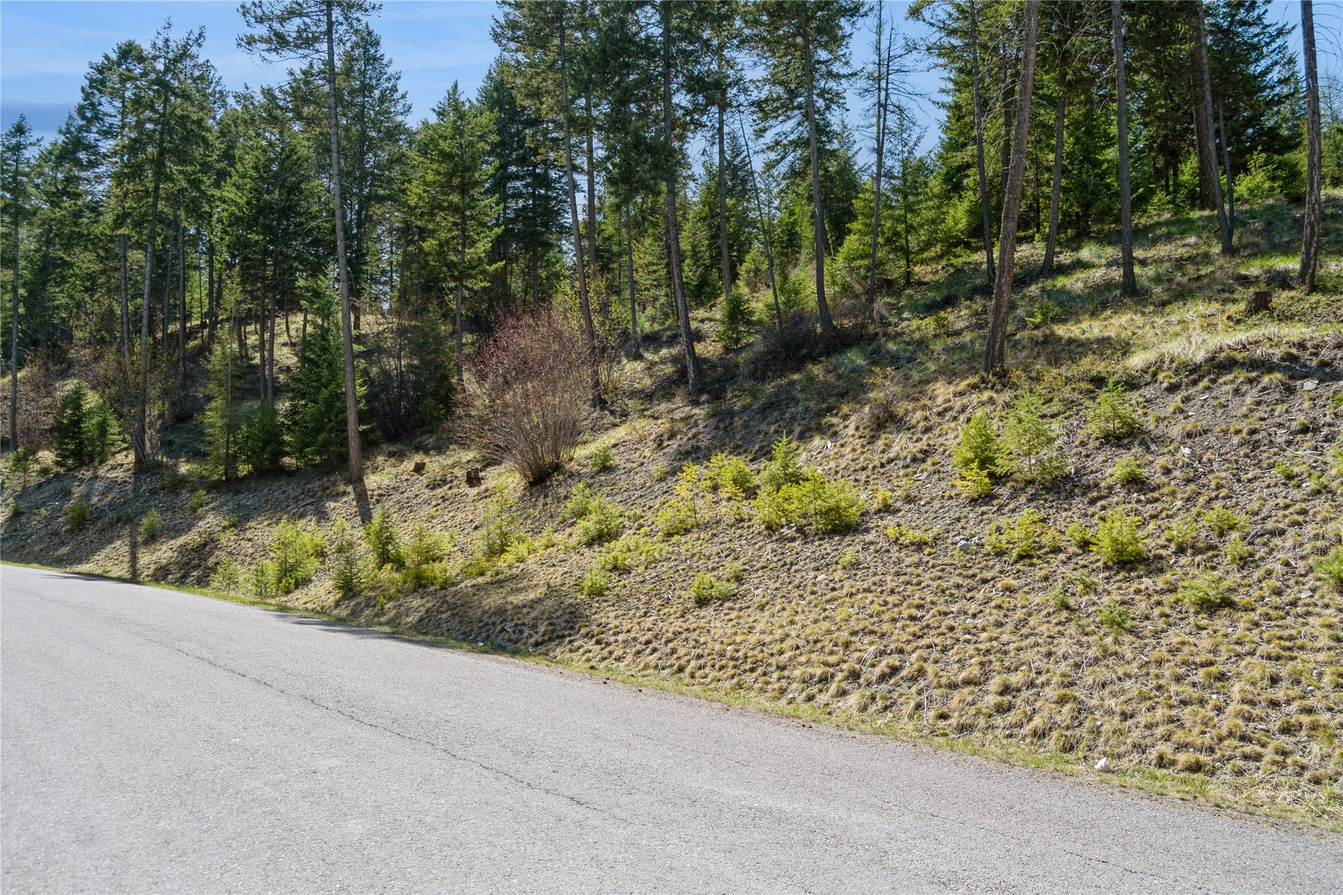 1027 Trappers Creek, Lakeside, MT 59922 1027 Trappers Creek, Lakeside, MT 59922