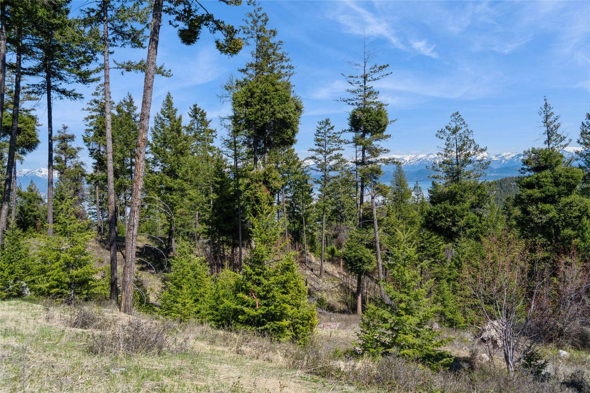 1027 Trappers Creek, Lakeside, MT 59922 1027 Trappers Creek, Lakeside, MT 59922