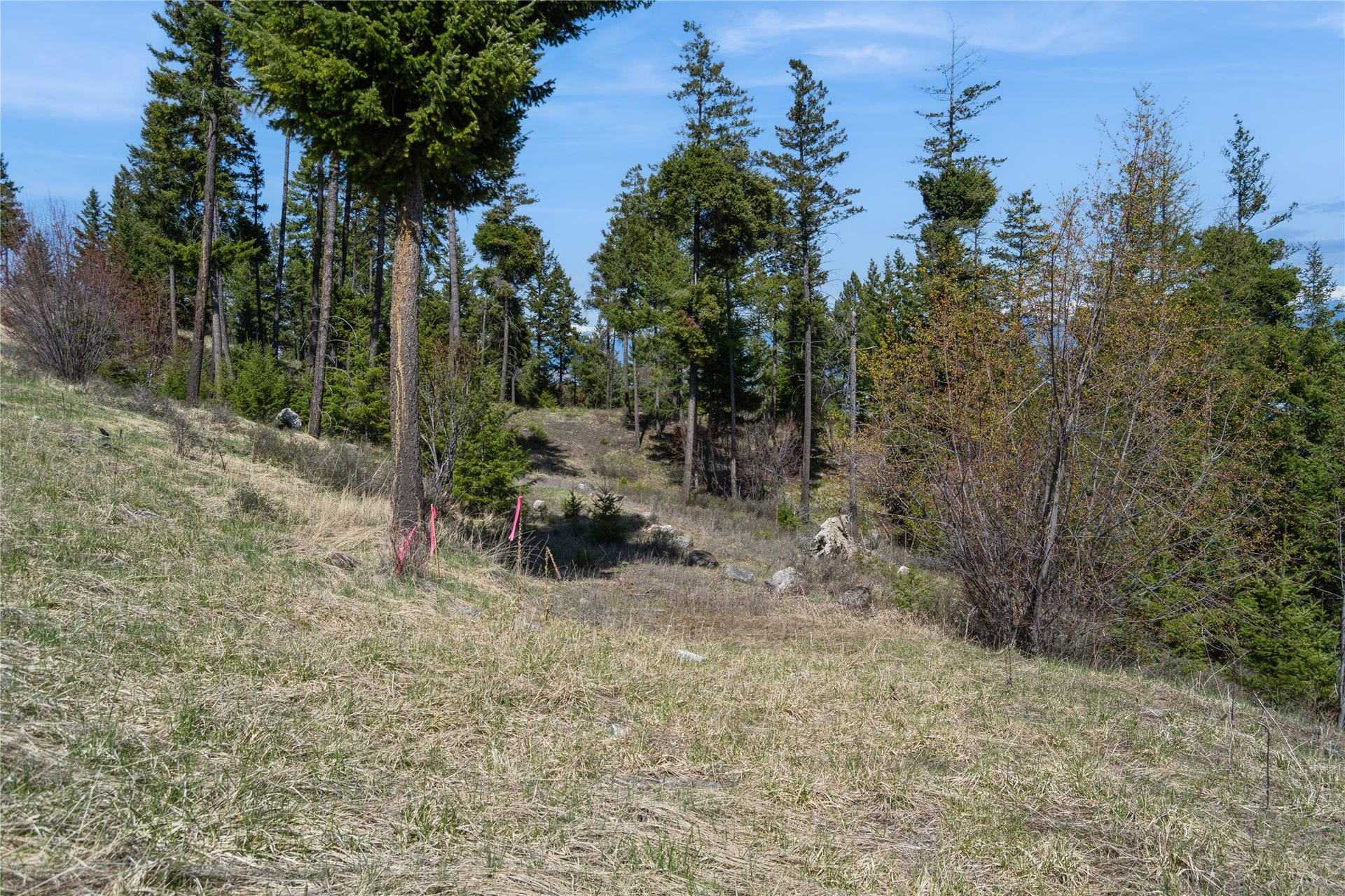 1027 Trappers Creek, Lakeside, MT 59922 1027 Trappers Creek, Lakeside, MT 59922