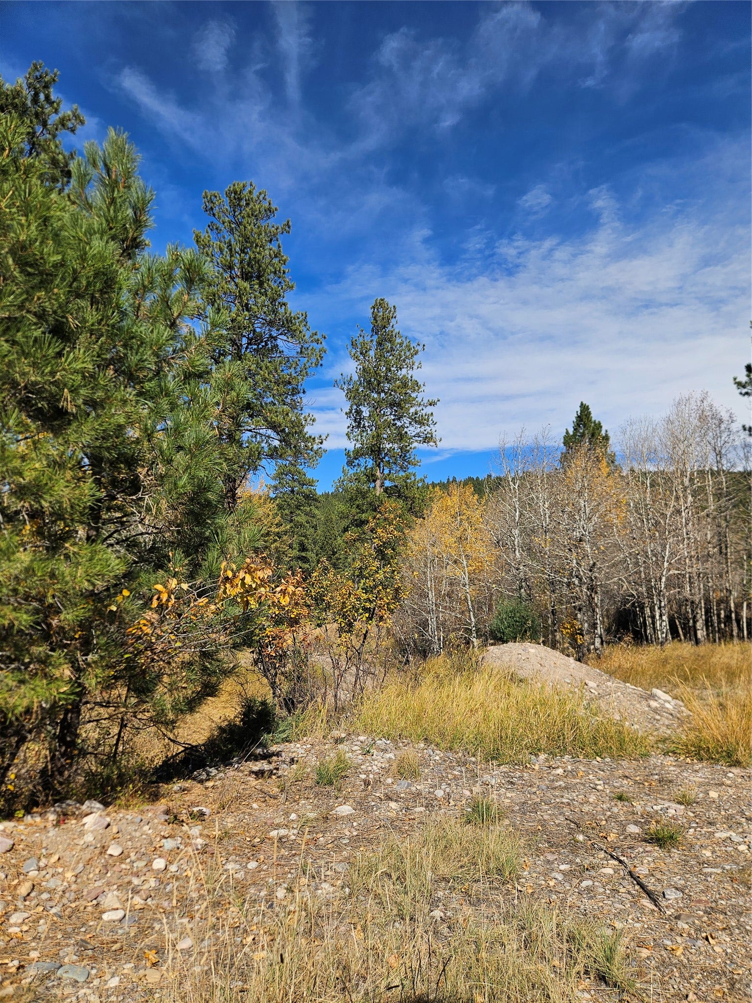 4270 Abe Lincoln Road, Lincoln, MT 59639