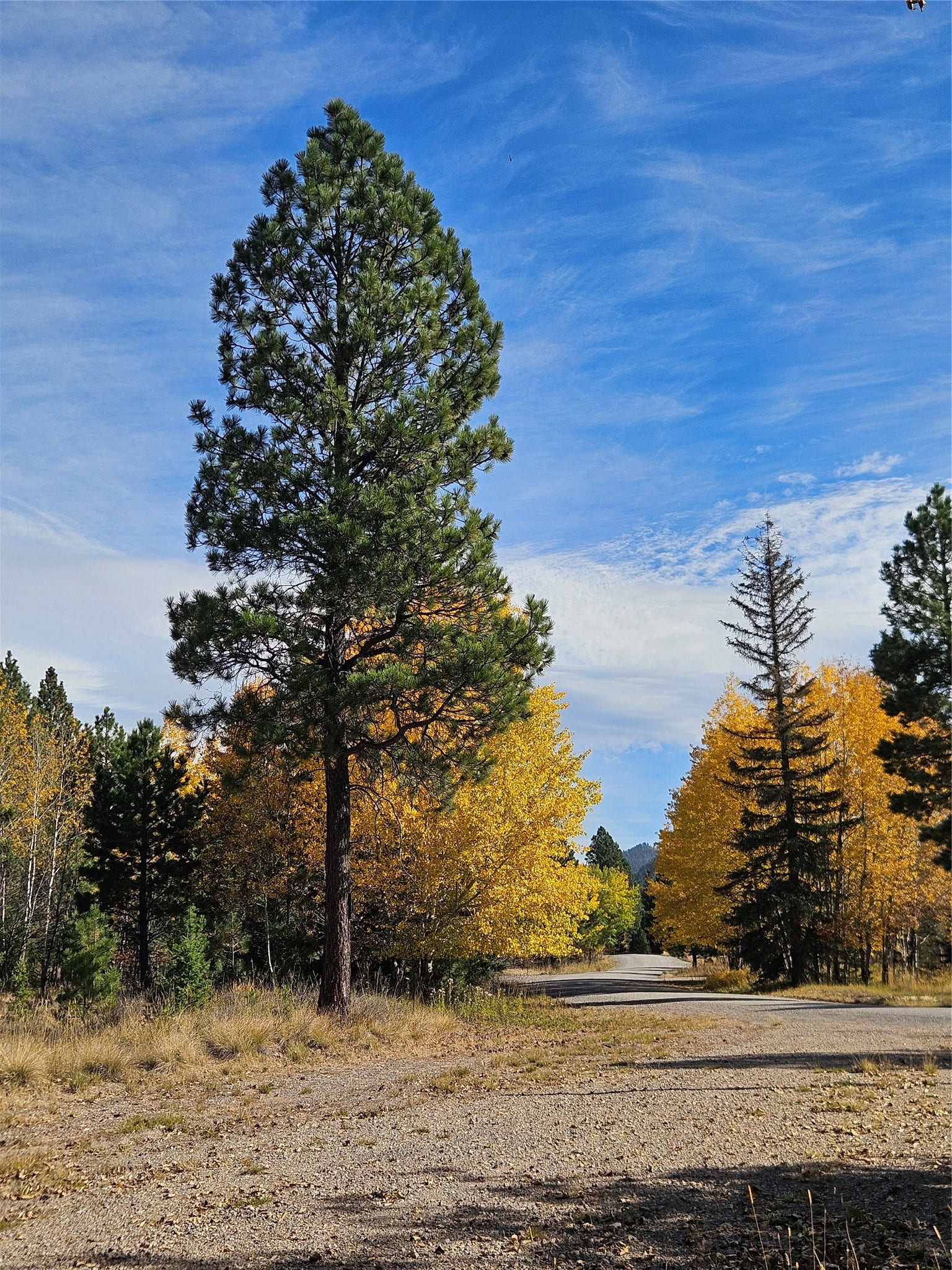 4270 Abe Lincoln Road, Lincoln, MT 59639