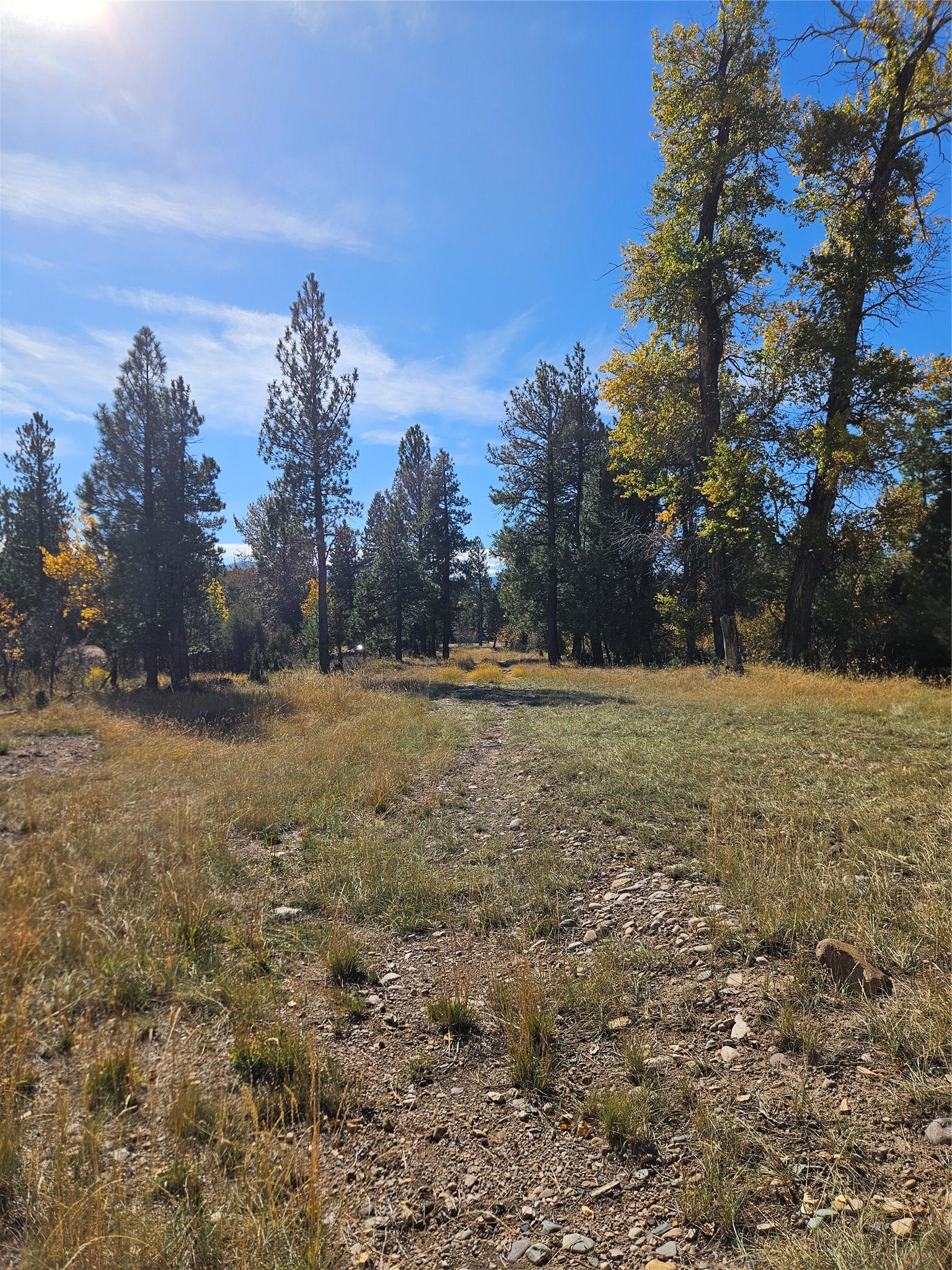 4270 Abe Lincoln Road, Lincoln, MT 59639