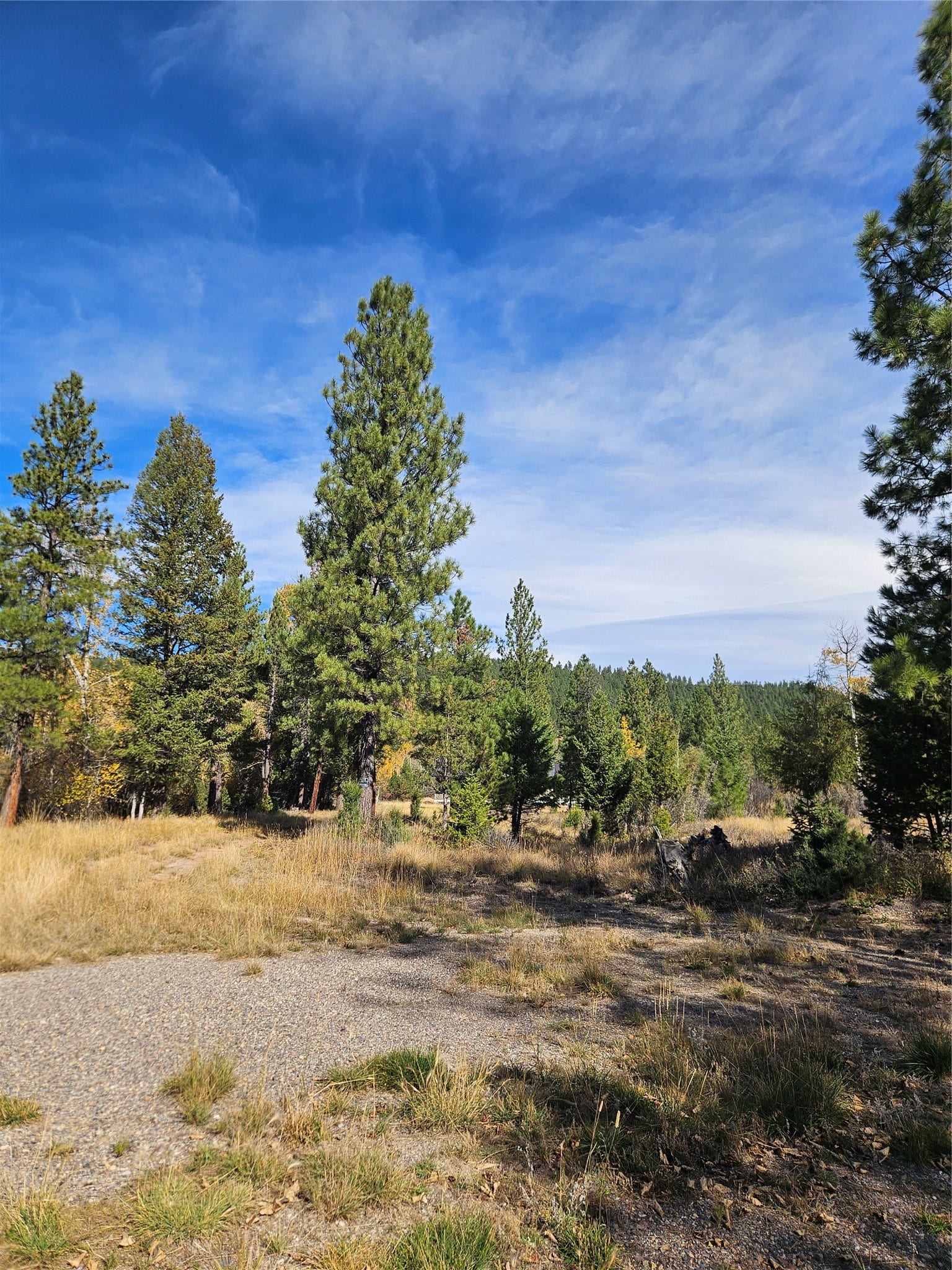 4270 Abe Lincoln Road, Lincoln, MT 59639
