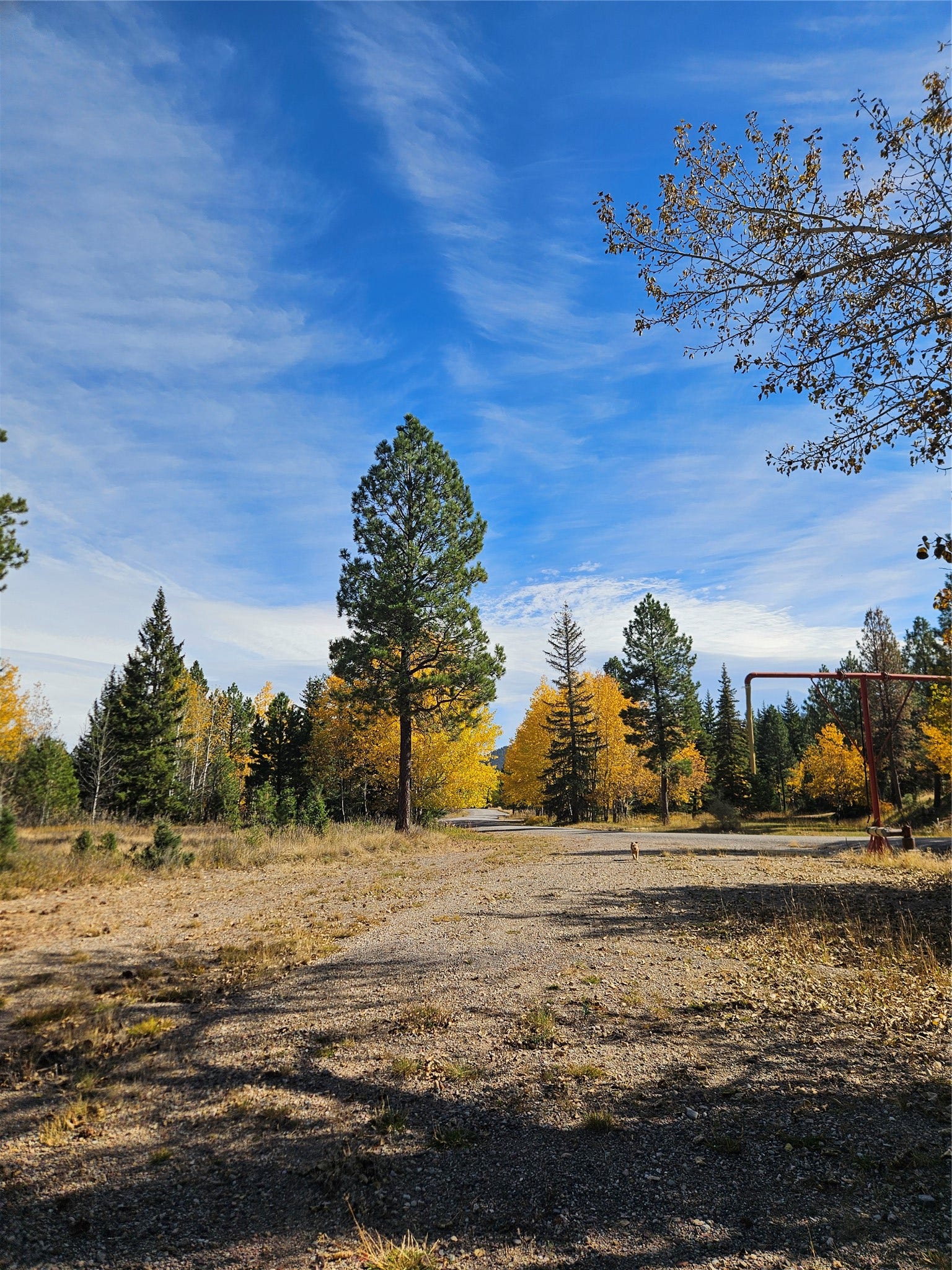 4270 Abe Lincoln Road, Lincoln, MT 59639