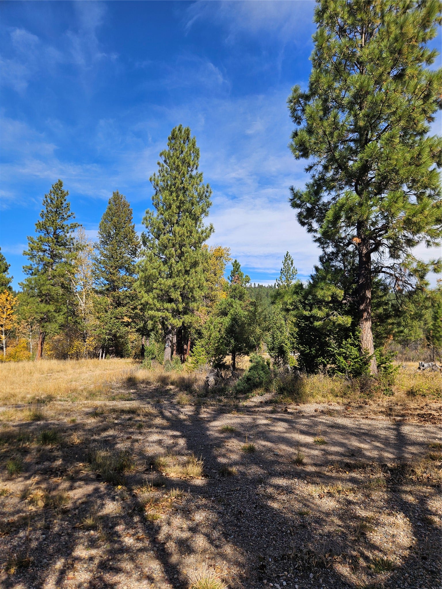 4270 Abe Lincoln Road, Lincoln, MT 59639