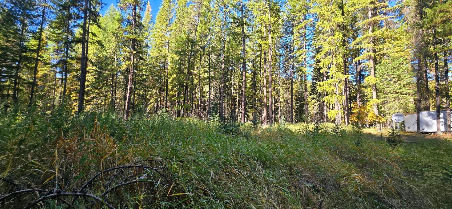 1057 Tamarack Lane, Troy, MT 59935