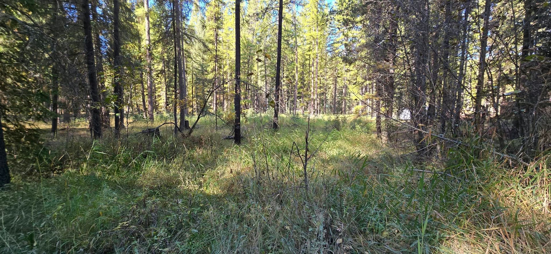 1057 Tamarack Lane, Troy, MT 59935
