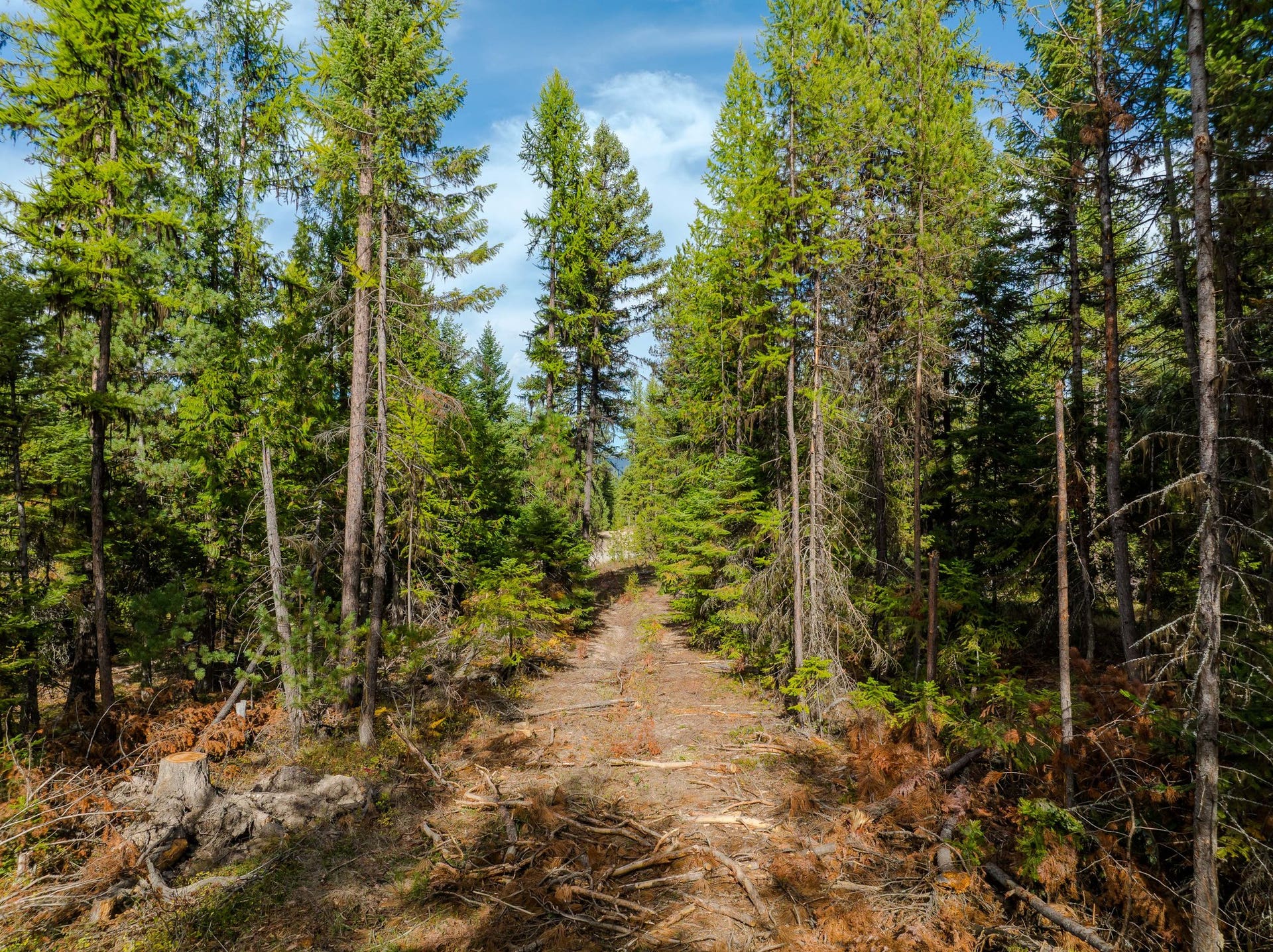 50 Cherry Creek Road, Libby, MT 59923 50 Cherry Creek Road, Libby, MT 59923