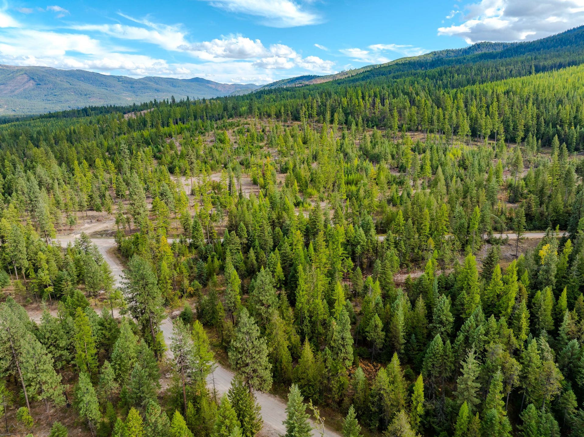 50 Cherry Creek Road, Libby, MT 59923 50 Cherry Creek Road, Libby, MT 59923