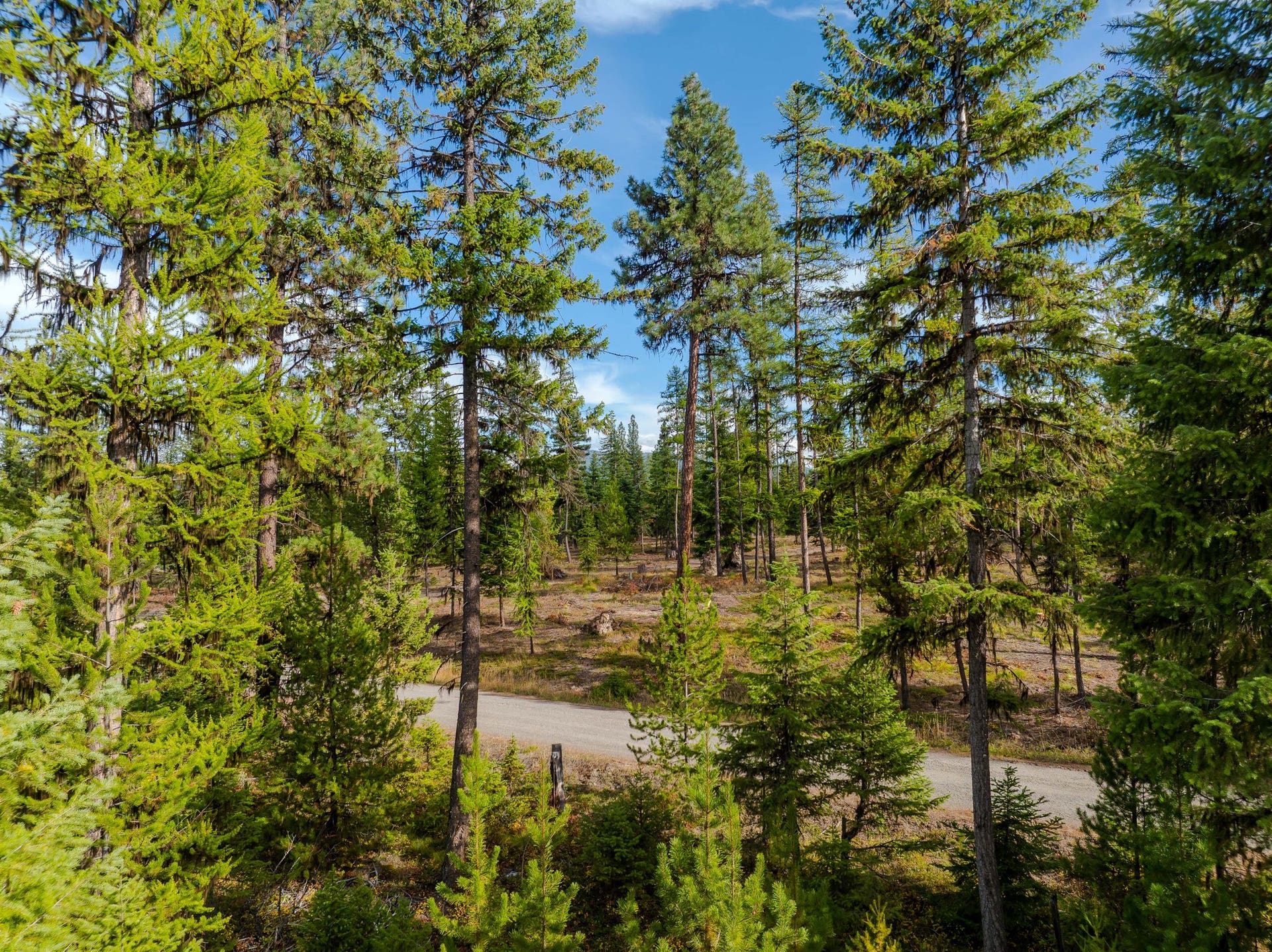 50 Cherry Creek Road, Libby, MT 59923 50 Cherry Creek Road, Libby, MT 59923