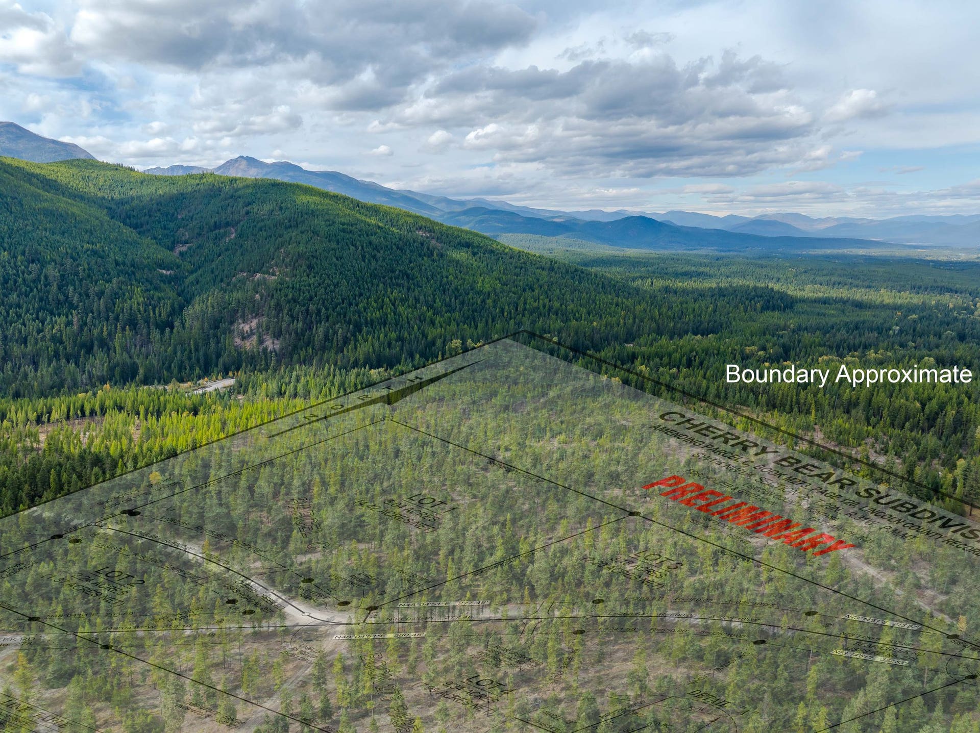 50 Cherry Creek Road, Libby, MT 59923 Preliminary Plat overlay showing Lot 1
