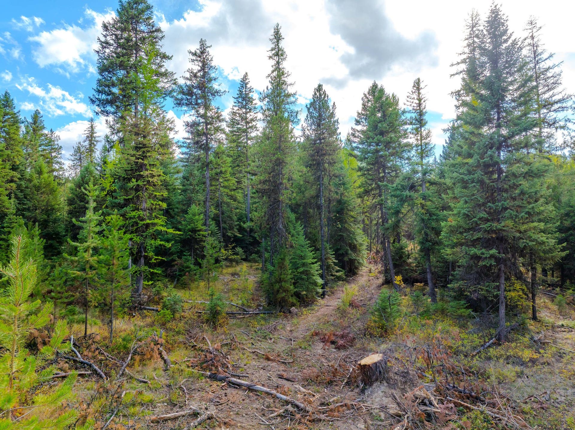 50 Cherry Creek Road, Libby, MT 59923 50 Cherry Creek Road, Libby, MT 59923