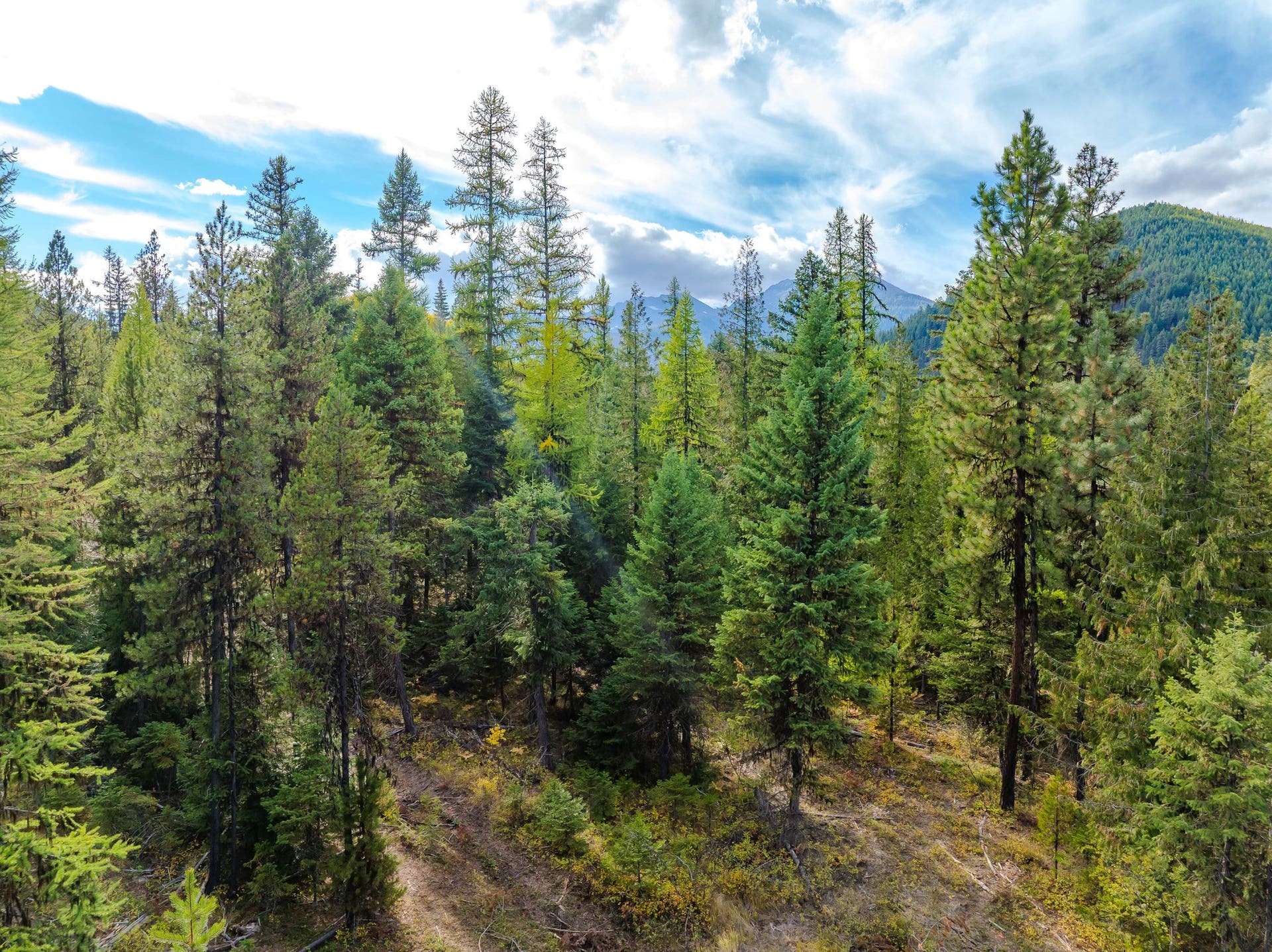 3036 Bear Creek Road, Libby, MT 59923 3036 Bear Creek Road, Libby, MT 59923
