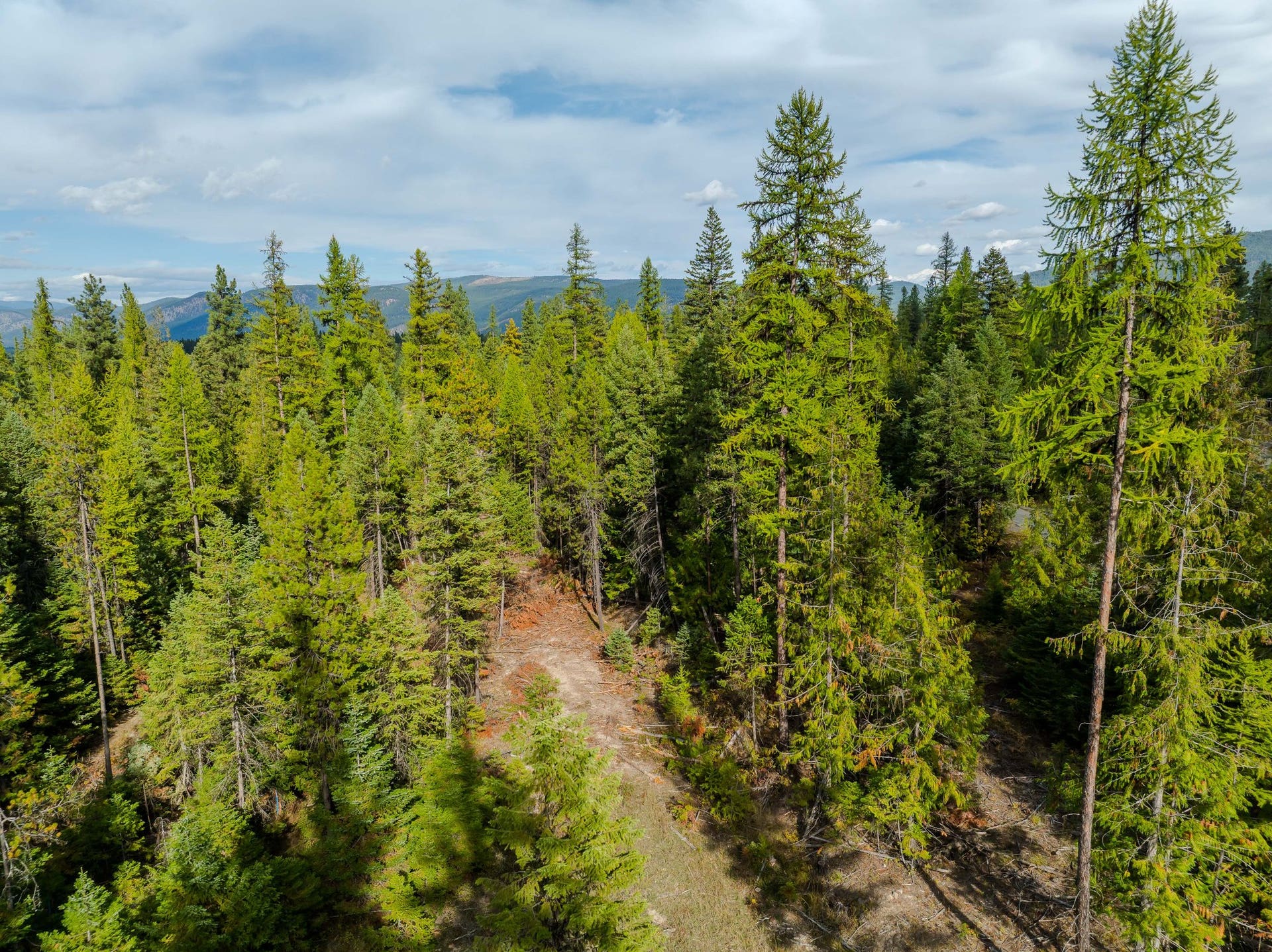3036 Bear Creek Road, Libby, MT 59923 3036 Bear Creek Road, Libby, MT 59923