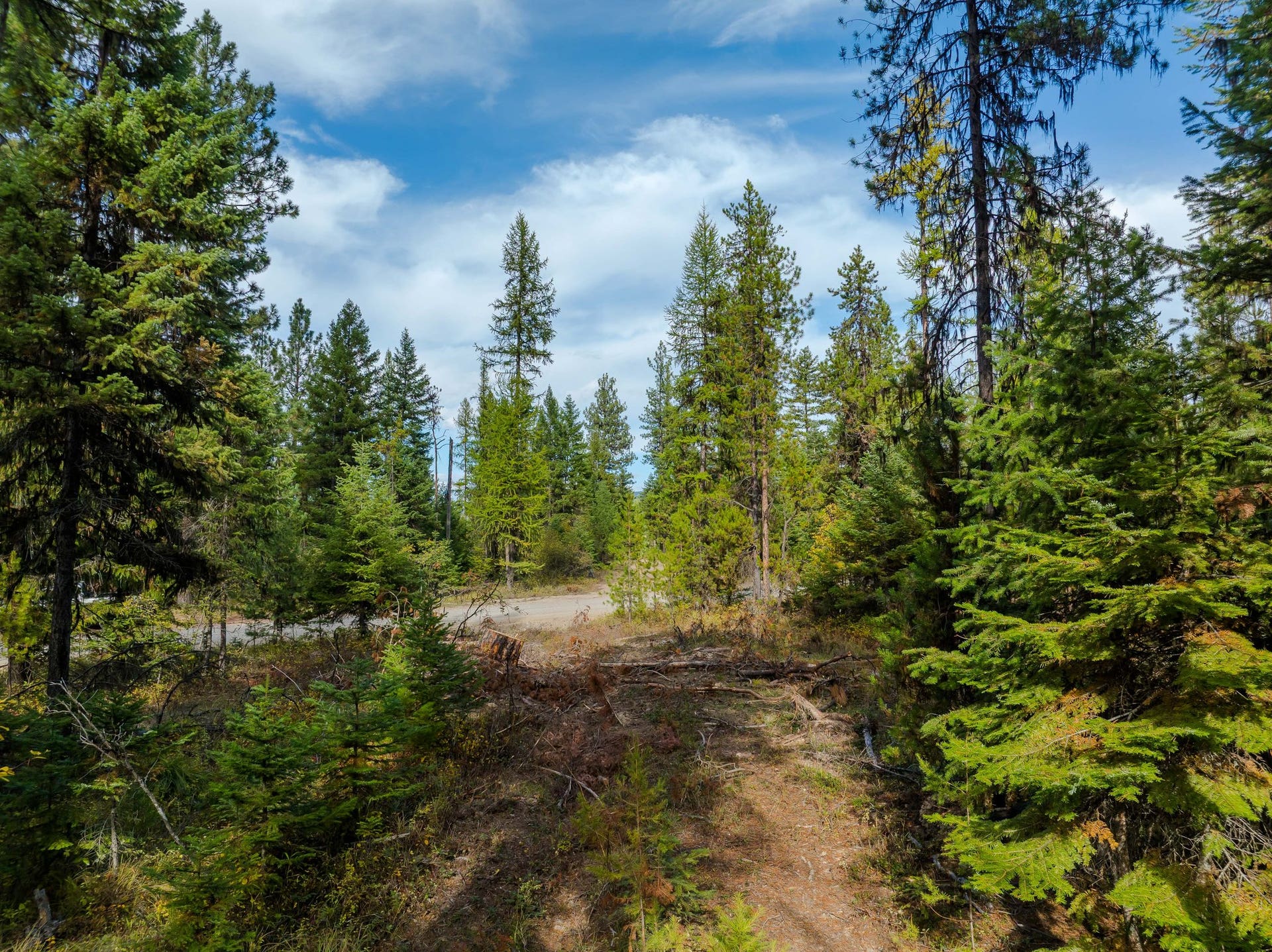 3036 Bear Creek Road, Libby, MT 59923 3036 Bear Creek Road, Libby, MT 59923