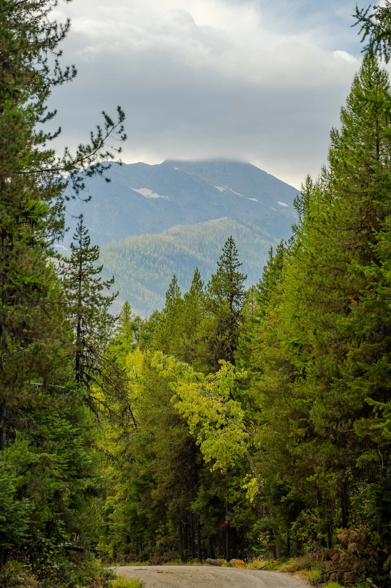 3036 Bear Creek Road, Libby, MT 59923 3036 Bear Creek Road, Libby, MT 59923