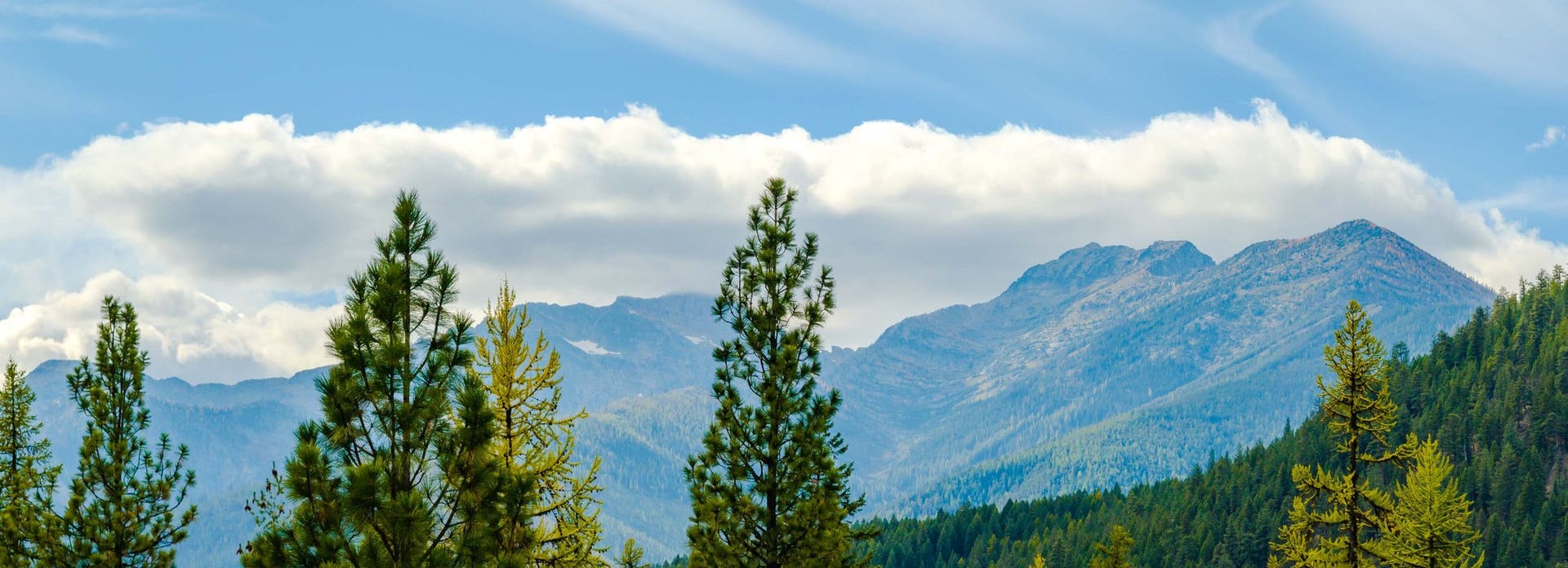 3036 Bear Creek Road, Libby, MT 59923 Cabinet Mountains
