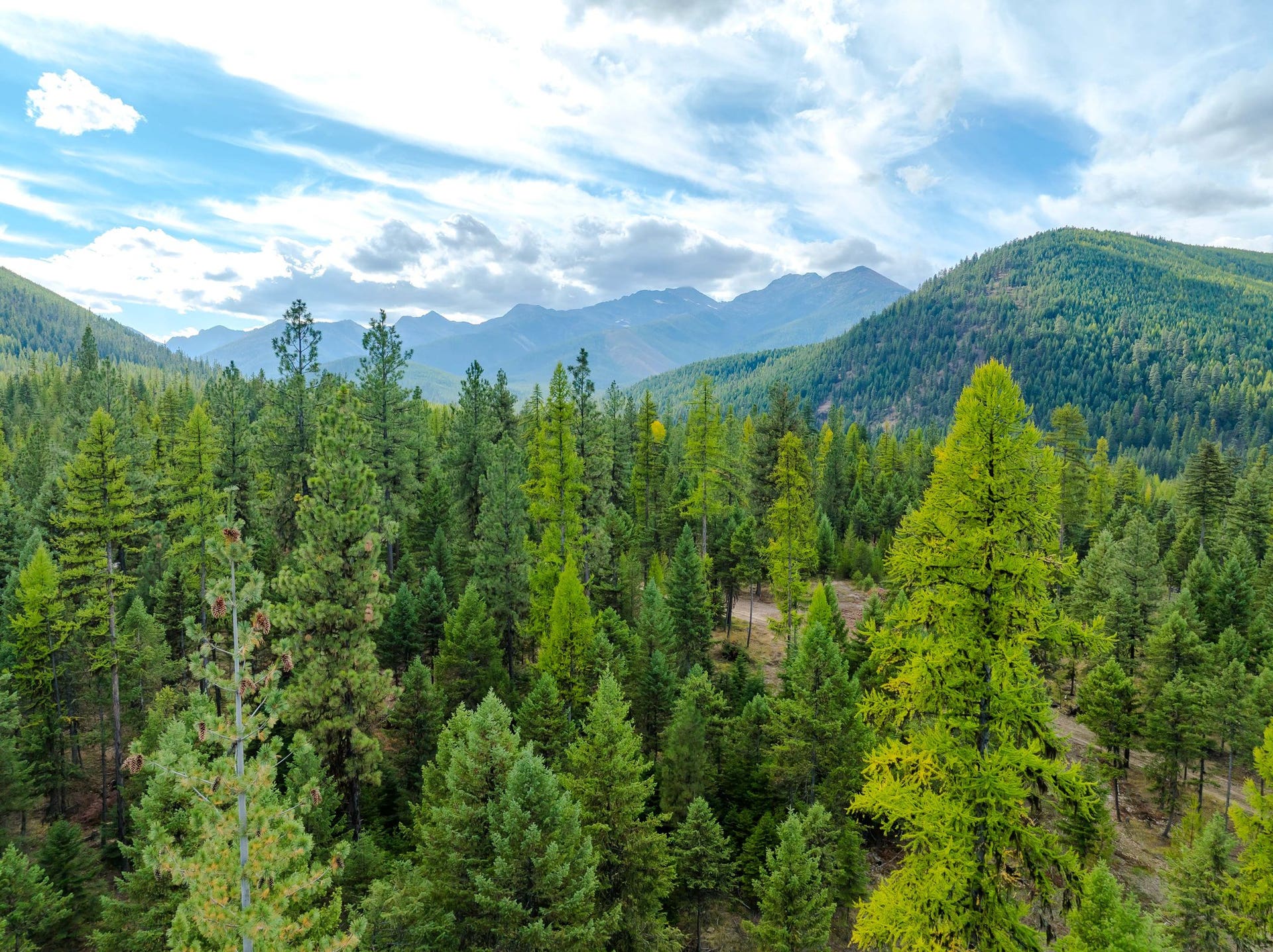 2850 Bear Creek Road, Libby, MT 59923 2850 Bear Creek Road, Libby, MT 59923
