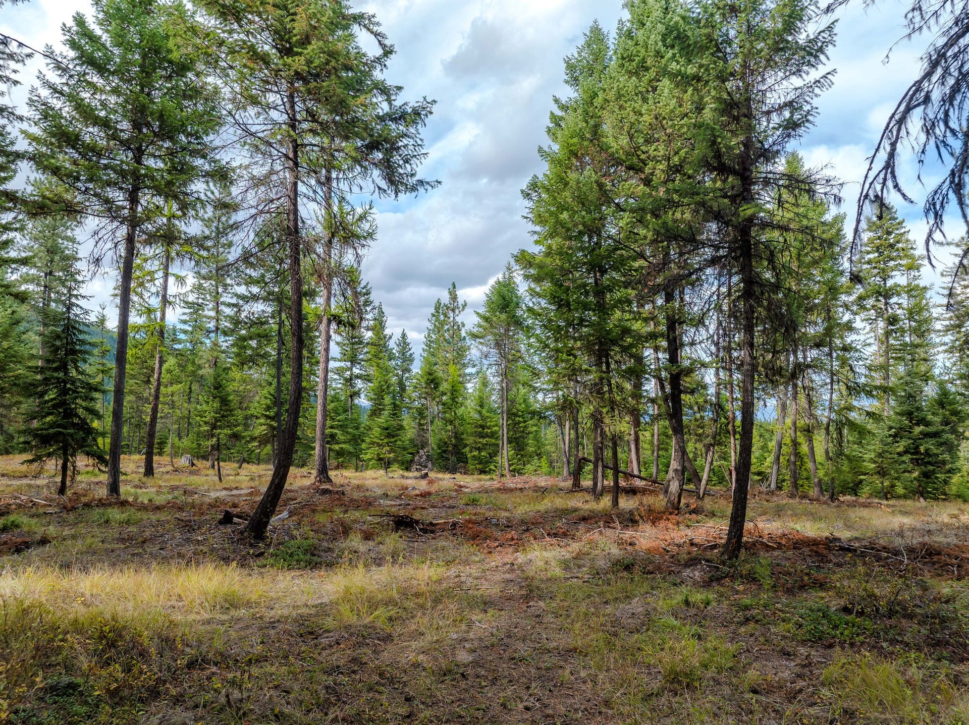 2850 Bear Creek Road, Libby, MT 59923 2850 Bear Creek Road, Libby, MT 59923