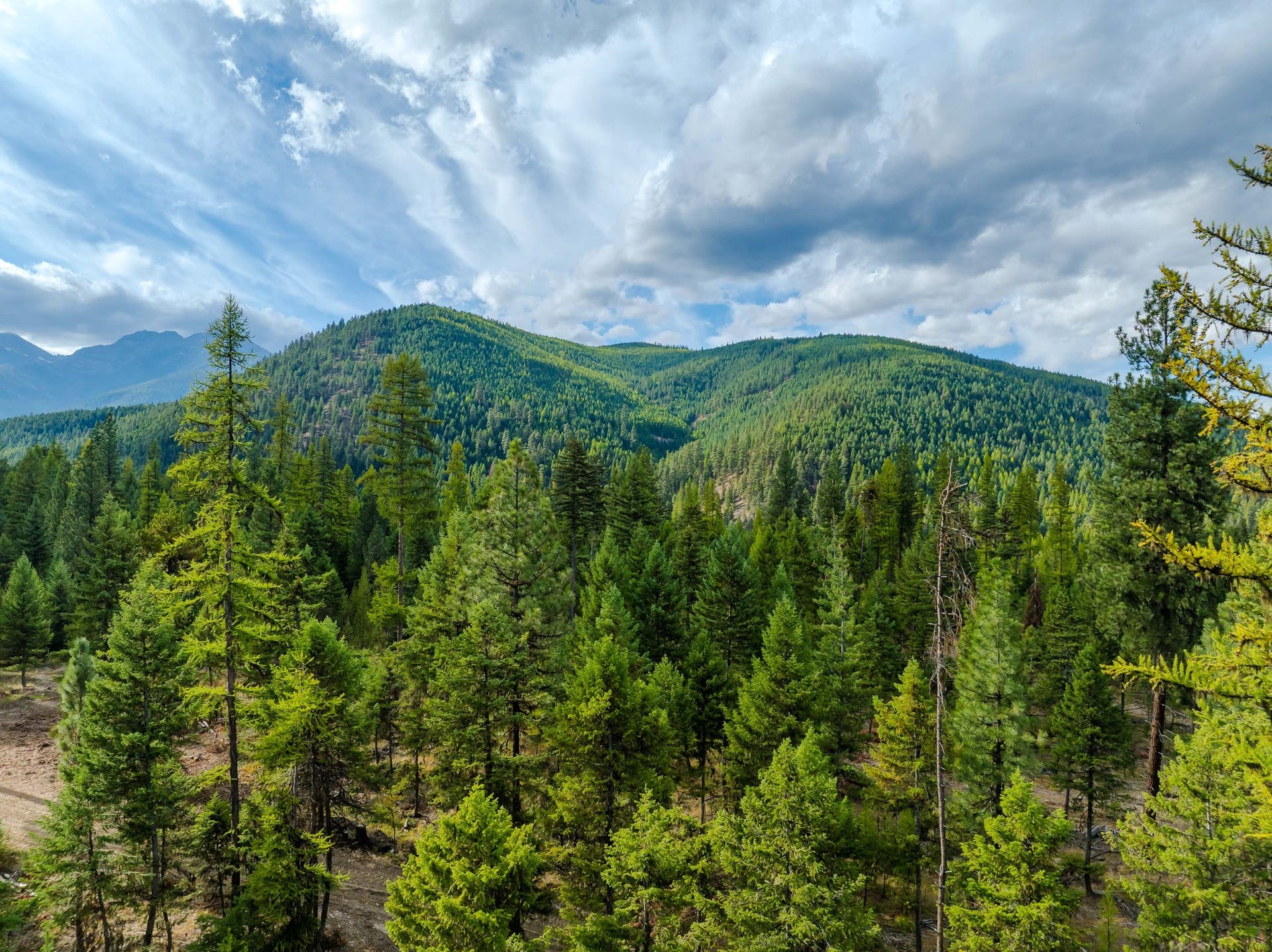 2850 Bear Creek Road, Libby, MT 59923 2850 Bear Creek Road, Libby, MT 59923