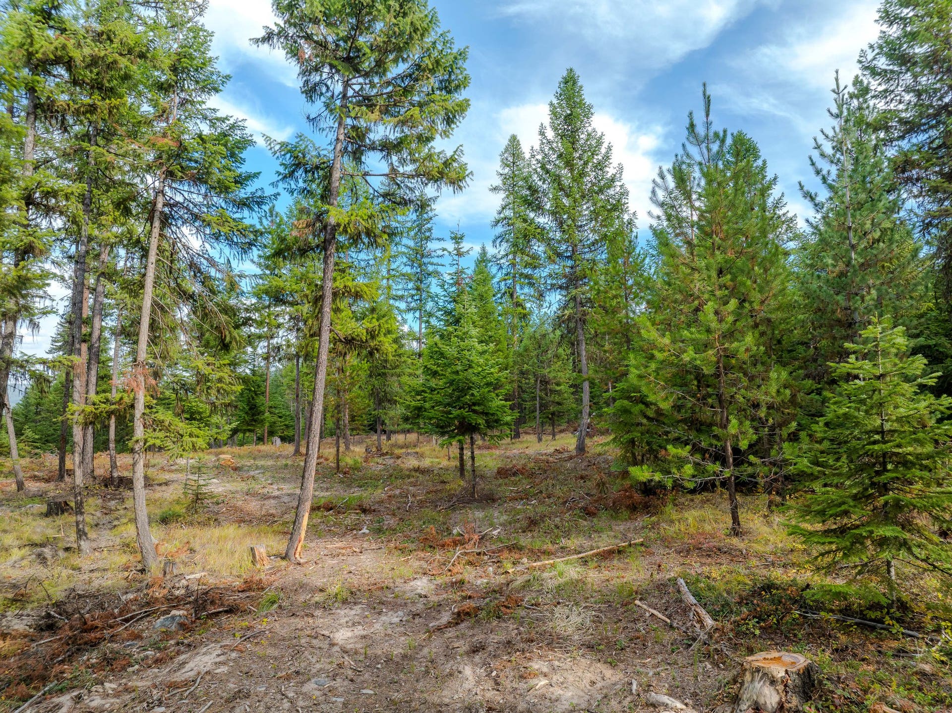 2850 Bear Creek Road, Libby, MT 59923 2850 Bear Creek Road, Libby, MT 59923
