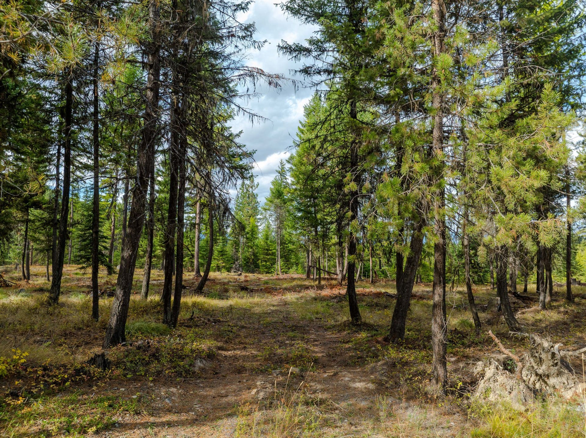 2850 Bear Creek Road, Libby, MT 59923 2850 Bear Creek Road, Libby, MT 59923