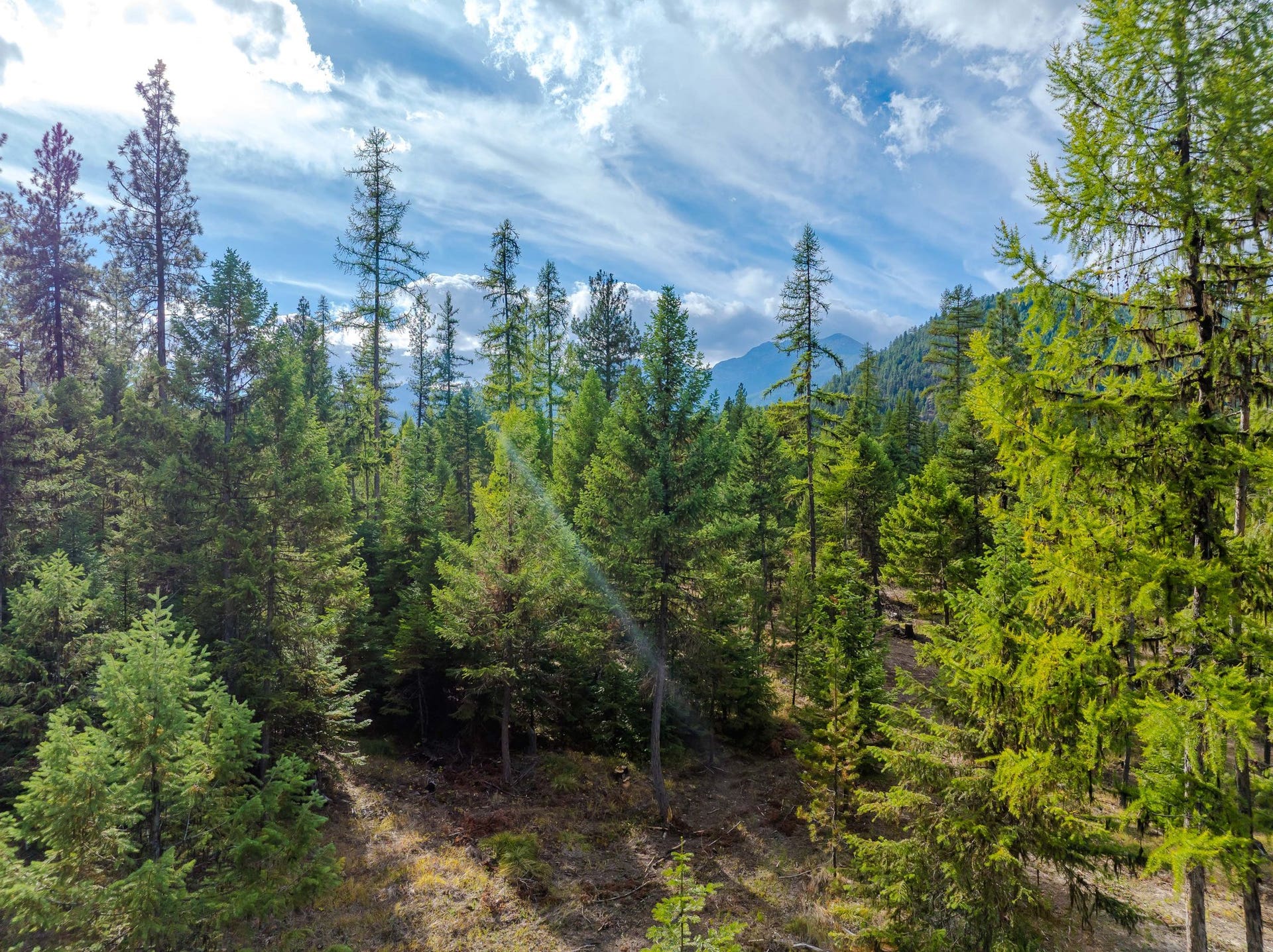 2850 Bear Creek Road, Libby, MT 59923 2850 Bear Creek Road, Libby, MT 59923
