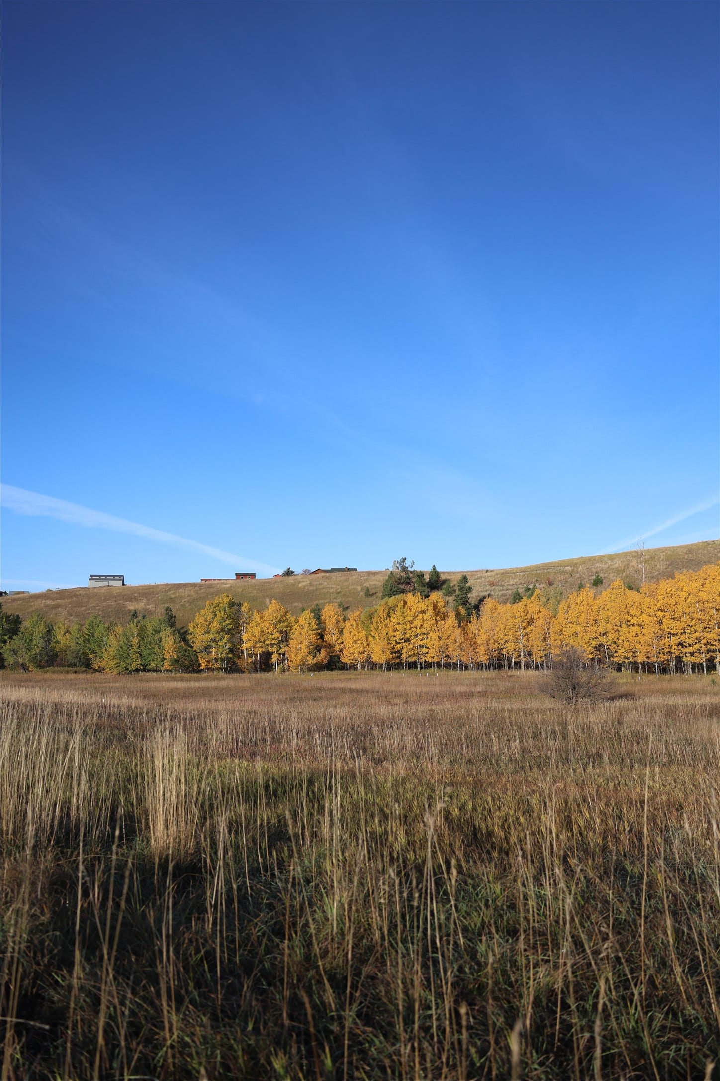NHN Phillips Creek Trail, Eureka, MT 59917 NHN Phillips Creek Trail, Eureka, MT 59917