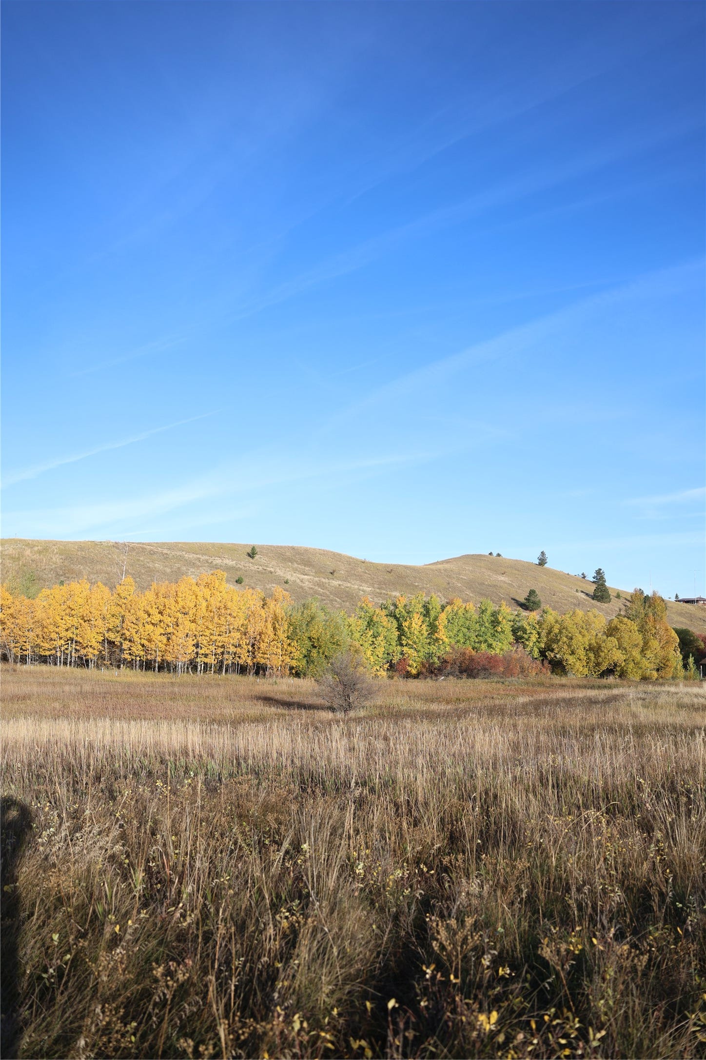 NHN Phillips Creek Trail, Eureka, MT 59917 NHN Phillips Creek Trail, Eureka, MT 59917