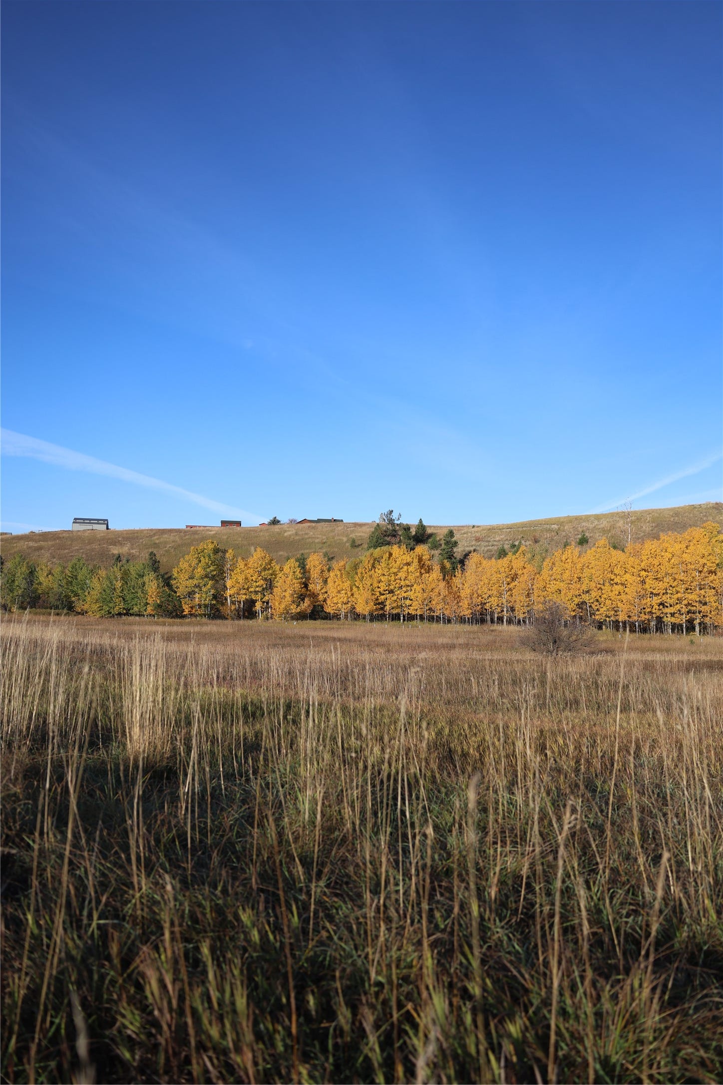 NHN Phillips Creek Trail, Eureka, MT 59917 NHN Phillips Creek Trail, Eureka, MT 59917