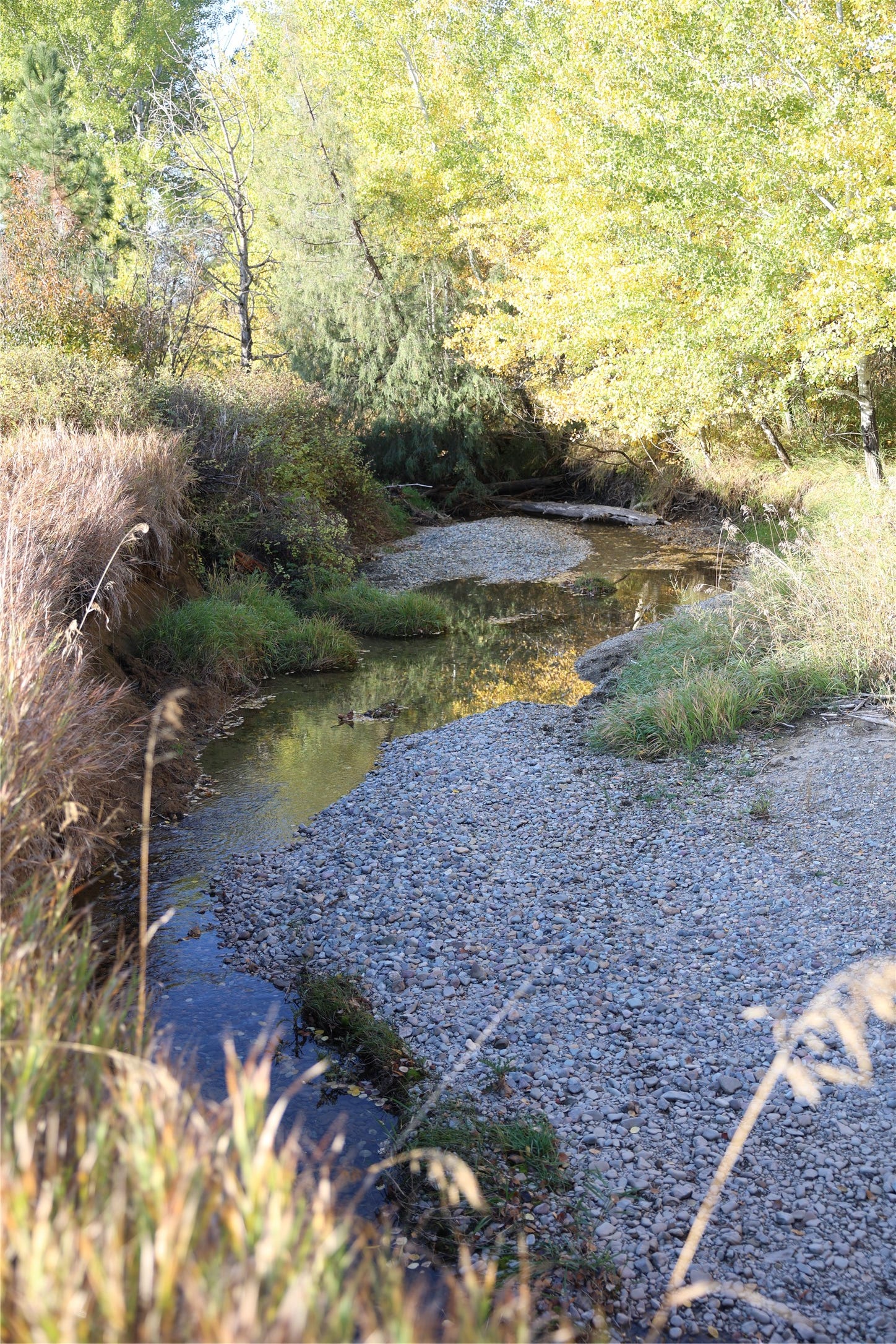 NHN Phillips Creek Trail, Eureka, MT 59917 NHN Phillips Creek Trail, Eureka, MT 59917