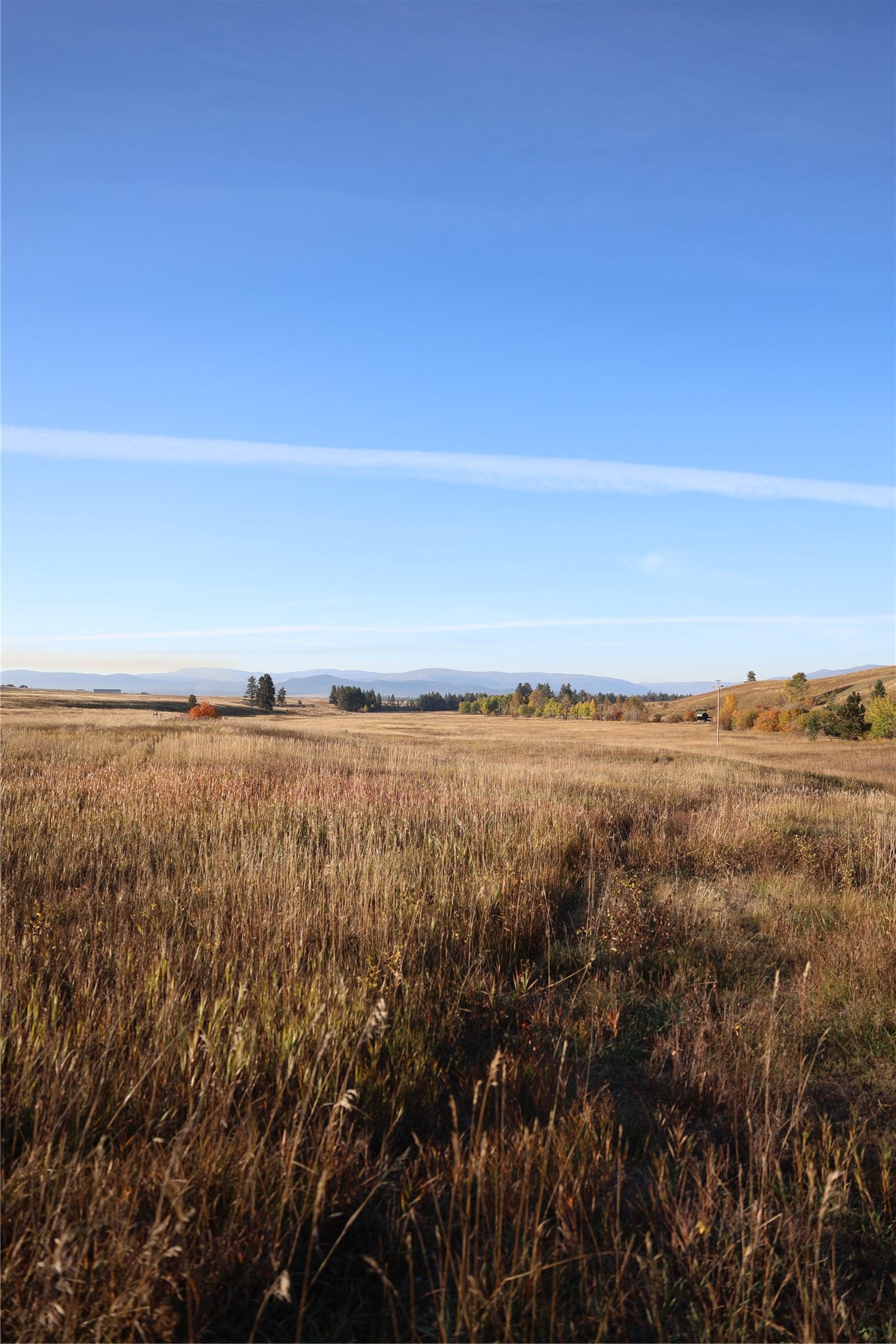 NHN Phillips Creek Trail, Eureka, MT 59917 NHN Phillips Creek Trail, Eureka, MT 59917
