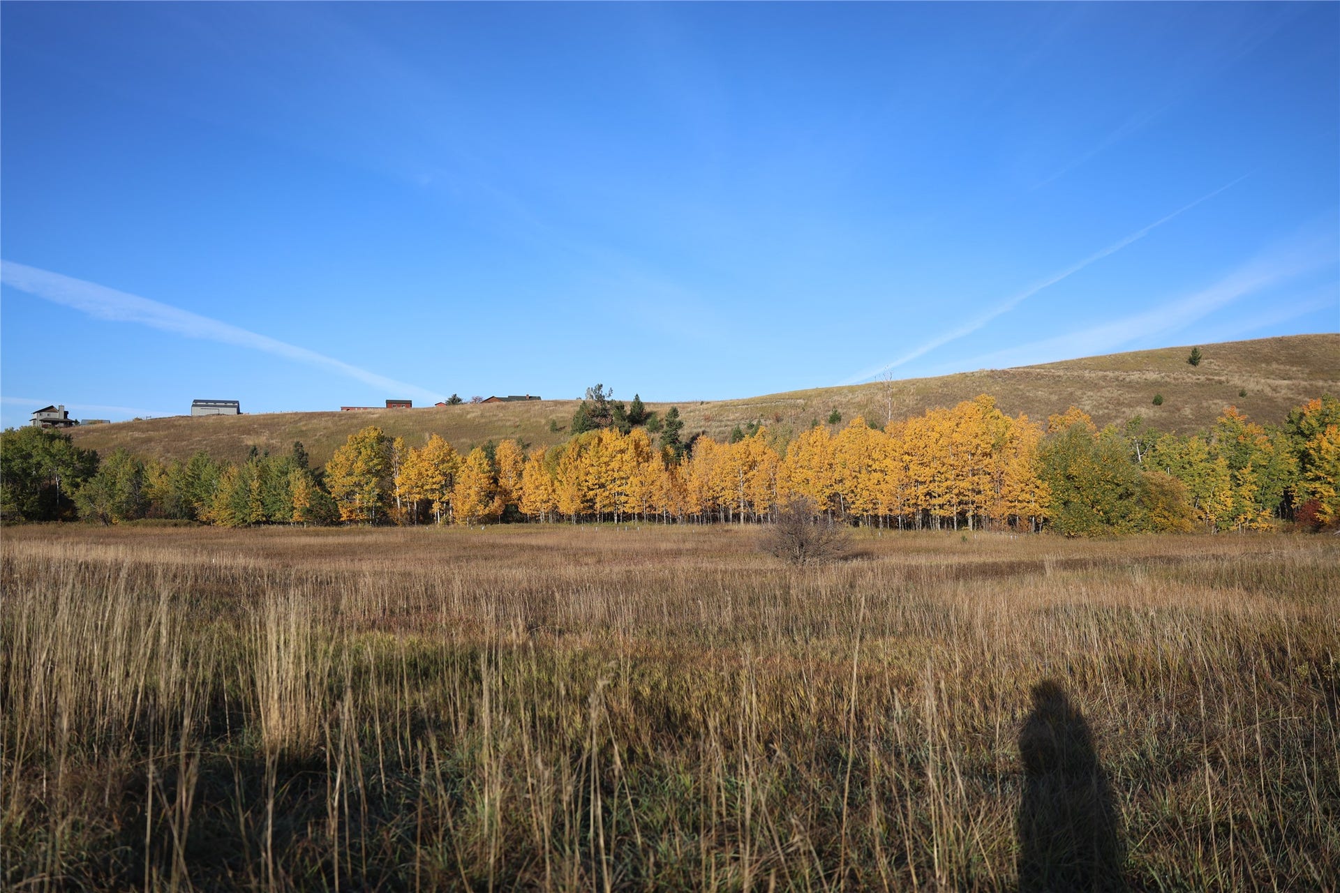 NHN Phillips Creek Trail, Eureka, MT 59917 NHN Phillips Creek Trail, Eureka, MT 59917