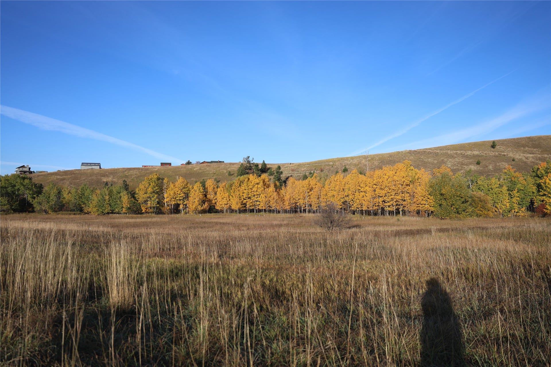NHN Phillips Creek Trail, Eureka, MT 59917 NHN Phillips Creek Trail, Eureka, MT 59917
