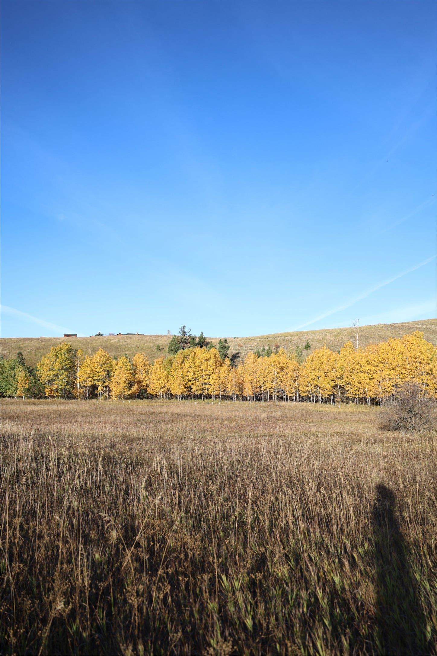 NHN Phillips Creek Trail, Eureka, MT 59917 NHN Phillips Creek Trail, Eureka, MT 59917