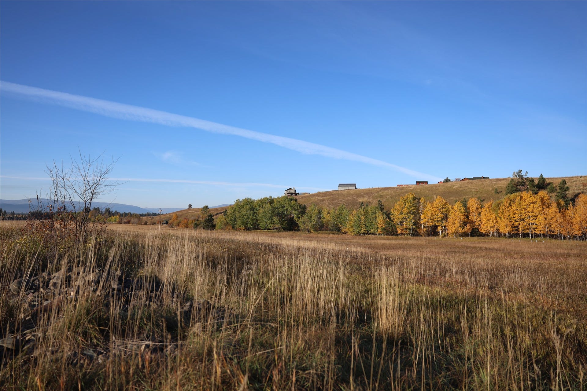 NHN Phillips Creek Trail, Eureka, MT 59917 NHN Phillips Creek Trail, Eureka, MT 59917