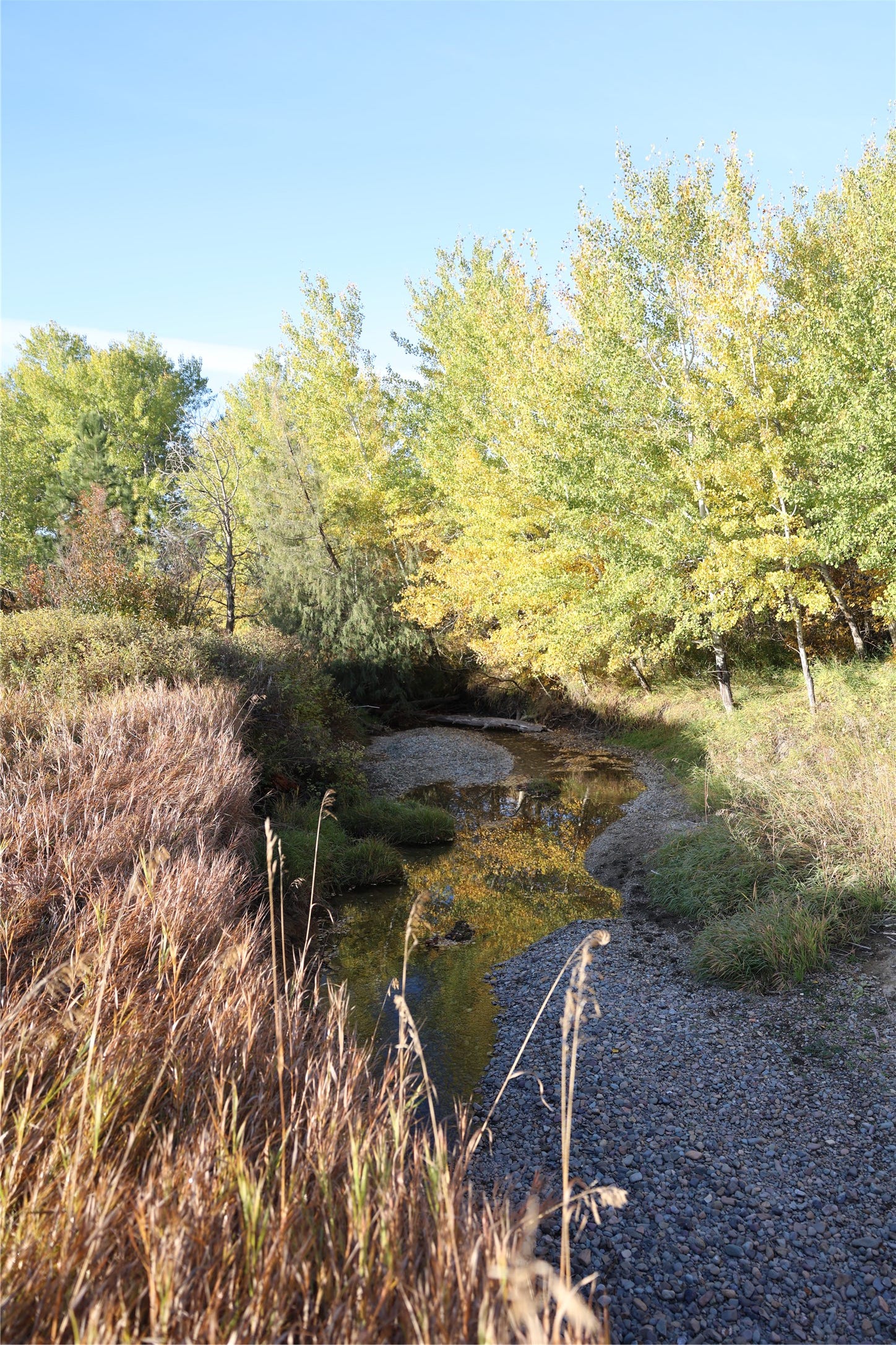 NHN Phillips Creek Trail, Eureka, MT 59917 NHN Phillips Creek Trail, Eureka, MT 59917