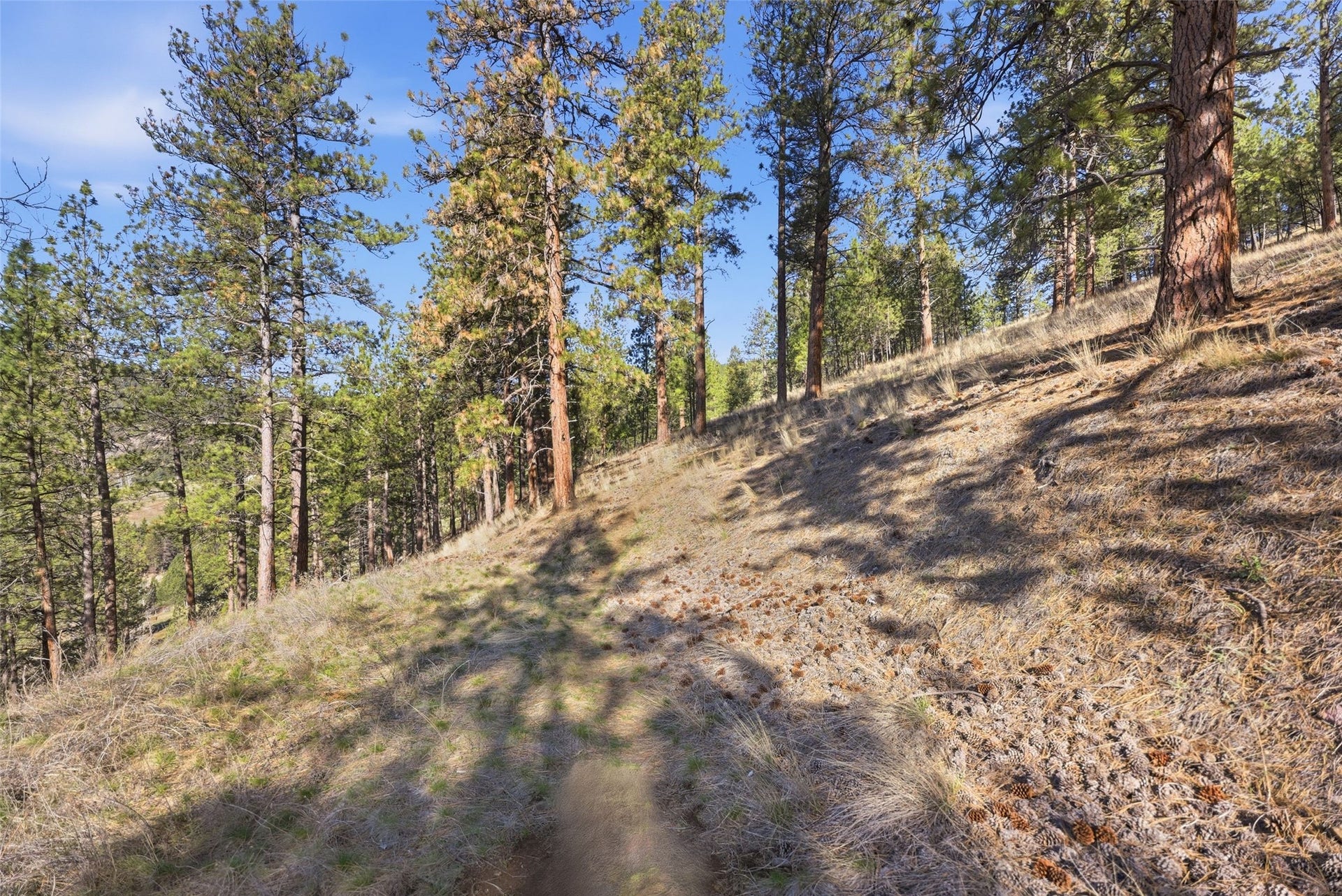 NHN McDowell Lane, Missoula, MT 59802