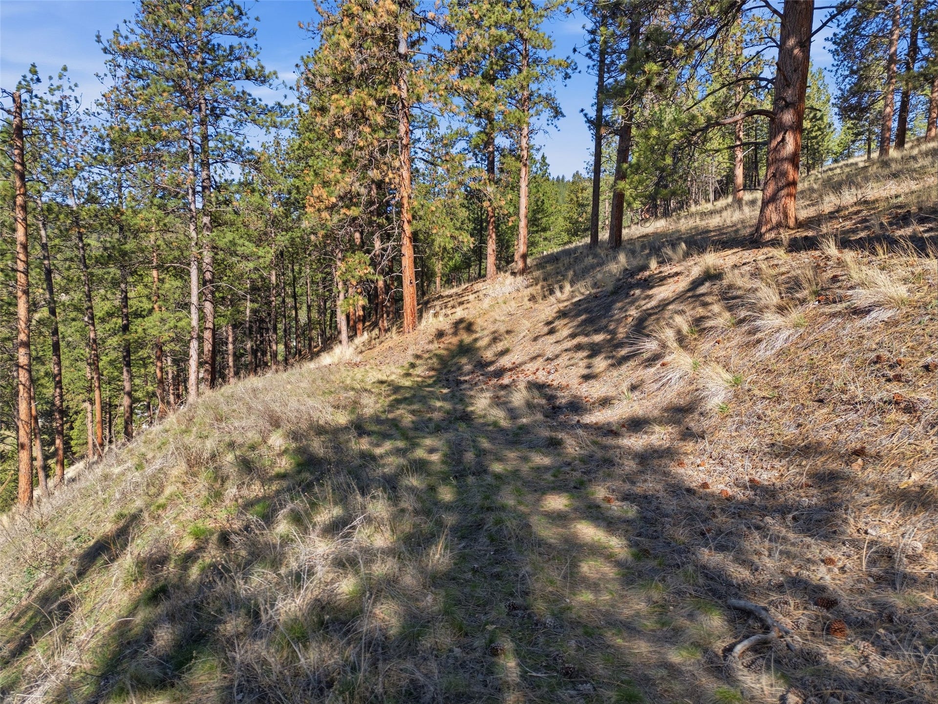 NHN McDowell Lane, Missoula, MT 59802