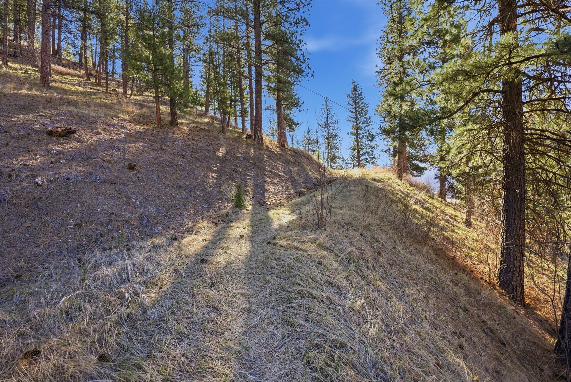 NHN McDowell Lane, Missoula, MT 59802
