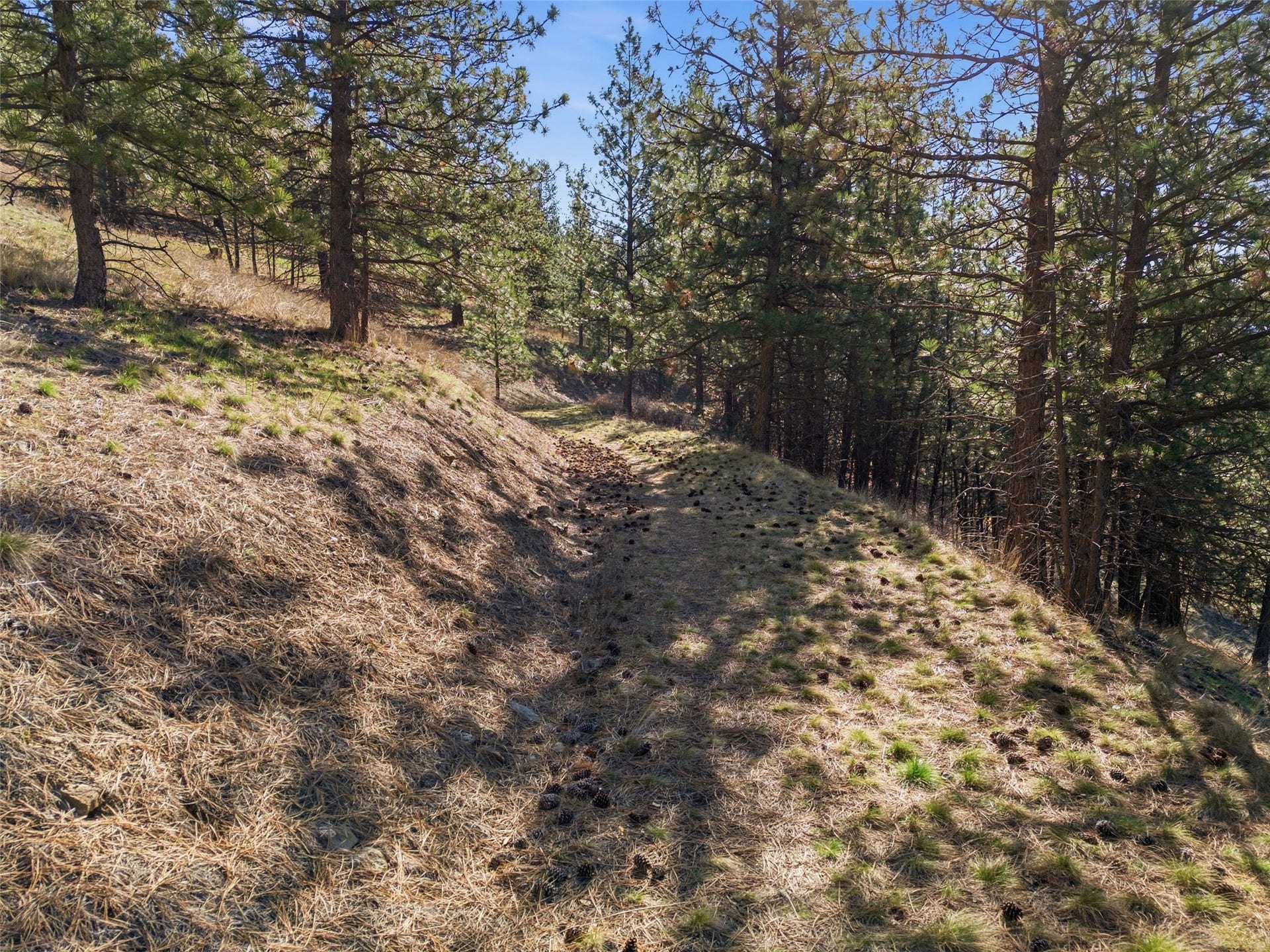 NHN McDowell Lane, Missoula, MT 59802