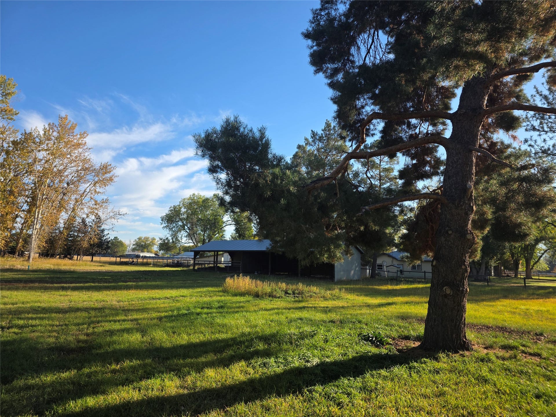115 Ricketts Road, Hamilton, MT 59840 Expansive grassy grounds featuring mature trees and a covered outbuilding with a metal roof