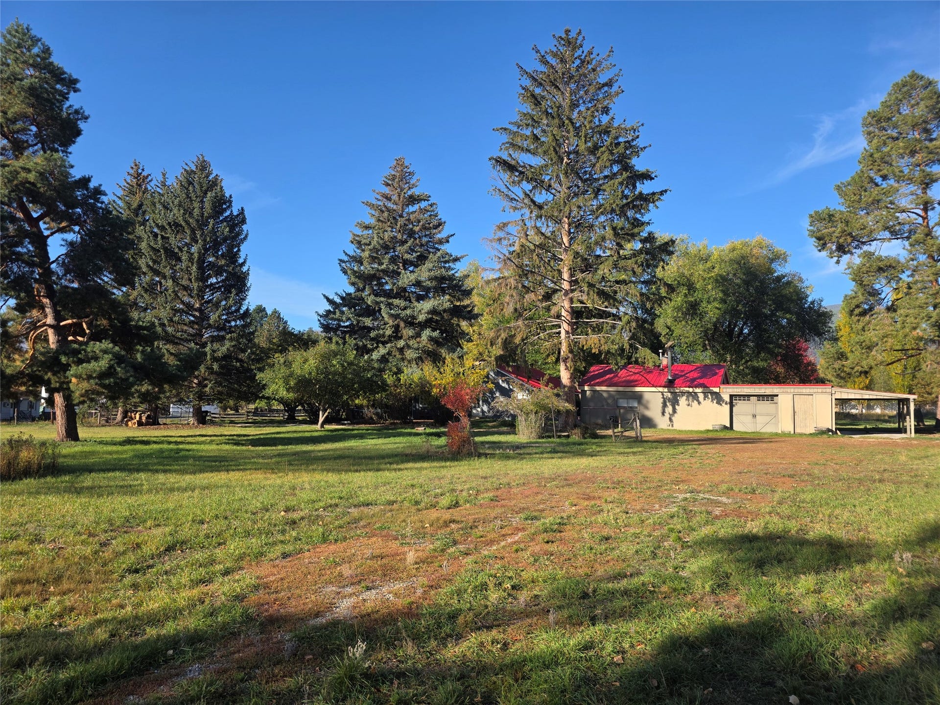 115 Ricketts Road, Hamilton, MT 59840 Expansive grassy area with mature evergreen trees, a building featuring a red roof, and an attached carport