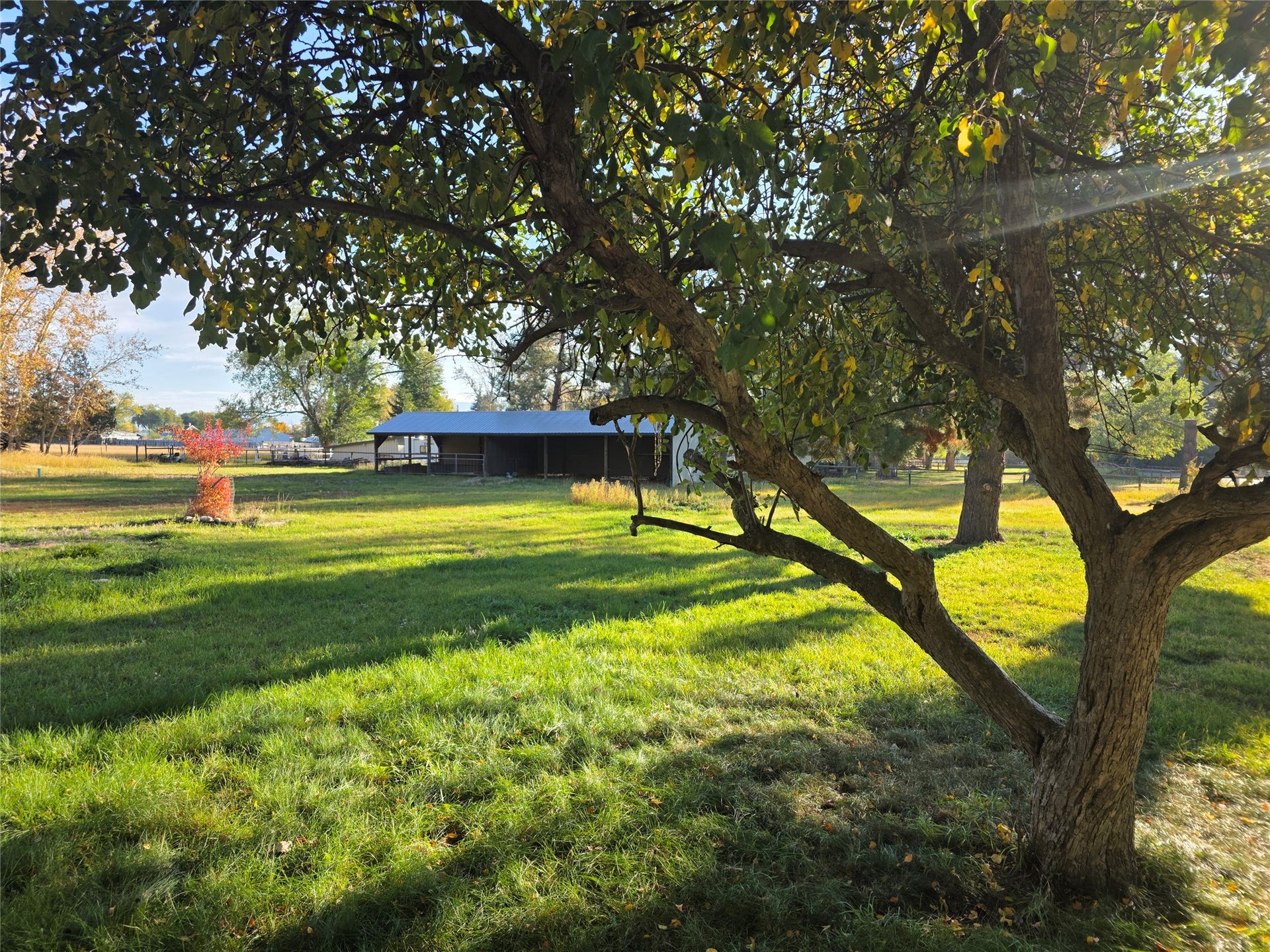 115 Ricketts Road, Hamilton, MT 59840 Expansive grassy grounds with mature trees and a substantial outbuilding