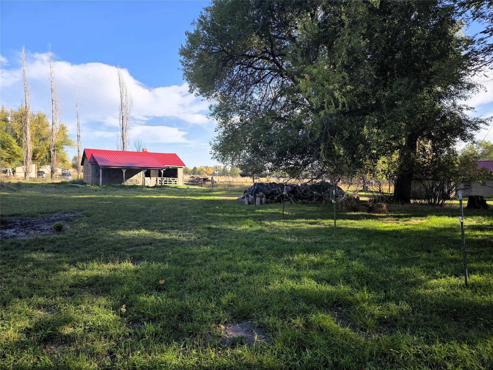 115 Ricketts Road, Hamilton, MT 59840 Expansive property featuring a detached barn with a red metal roof, mature trees, and a large grassy area