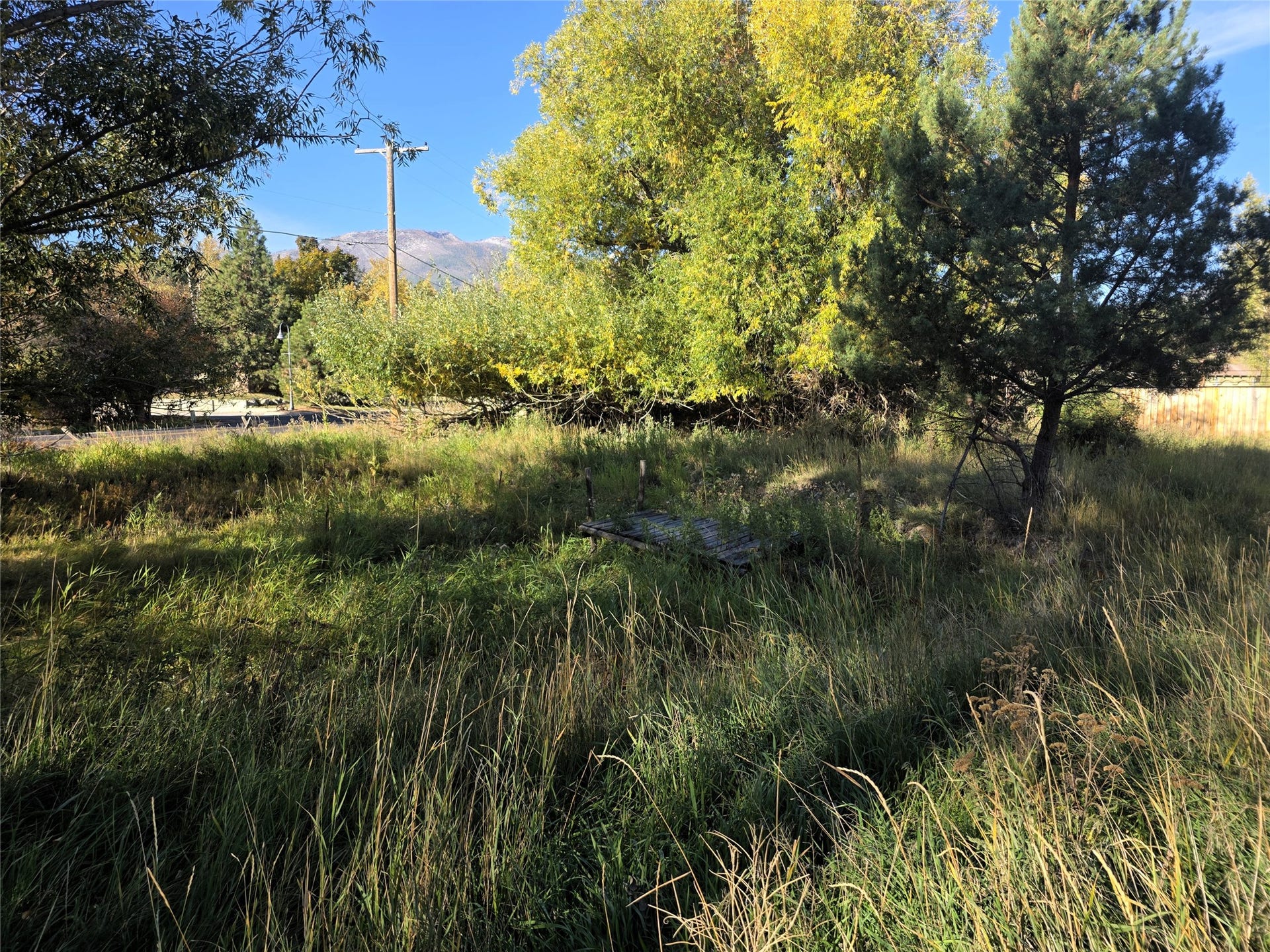 115 Ricketts Road, Hamilton, MT 59840 Mature trees in grassy yard
