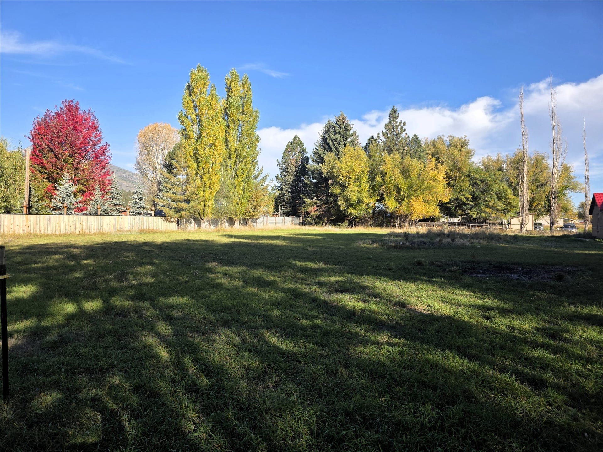 115 Ricketts Road, Hamilton, MT 59840 Expansive lot featuring a vibrant mix of mature trees and a manicured lawn