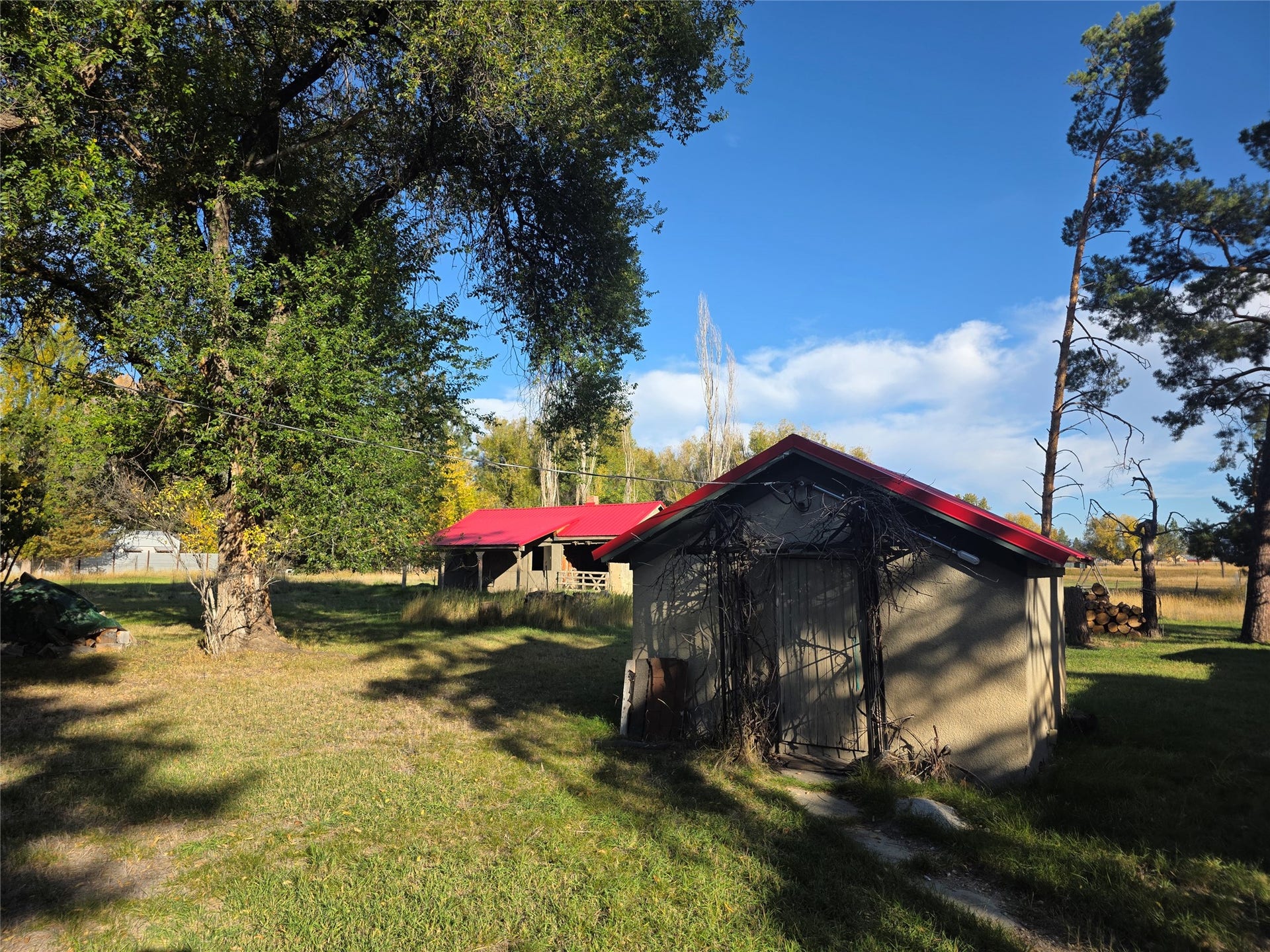 115 Ricketts Road, Hamilton, MT 59840 Detached structure with a red roof, surrounded by mature trees and grass