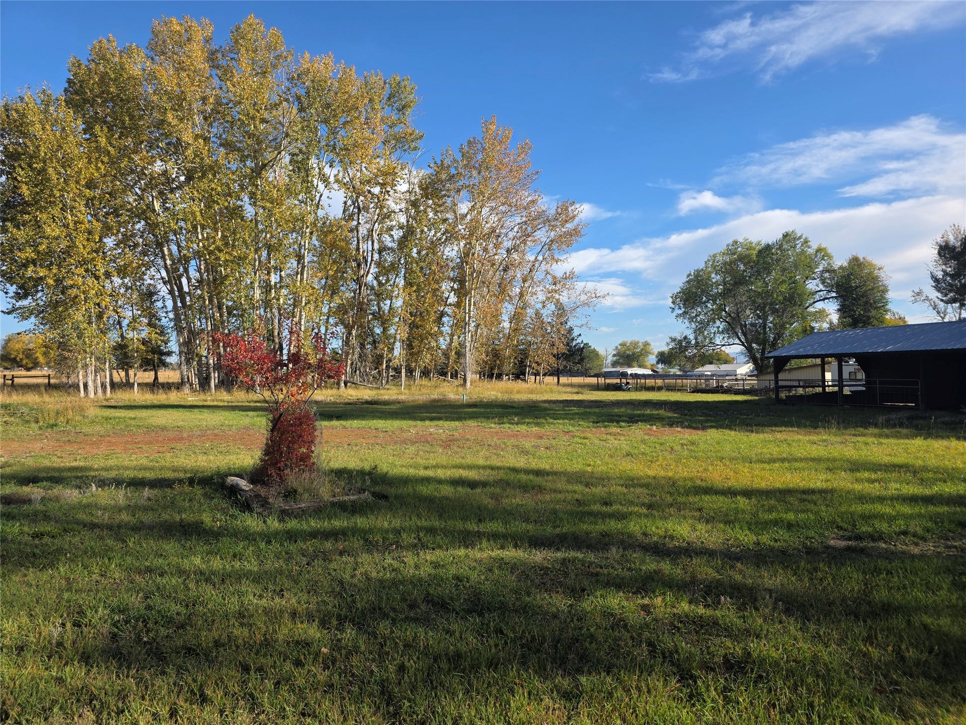 115 Ricketts Road, Hamilton, MT 59840 Expansive grassy area with mature deciduous trees, a small red-leafed shrub, and a dark-colored outbuilding with a metal roof