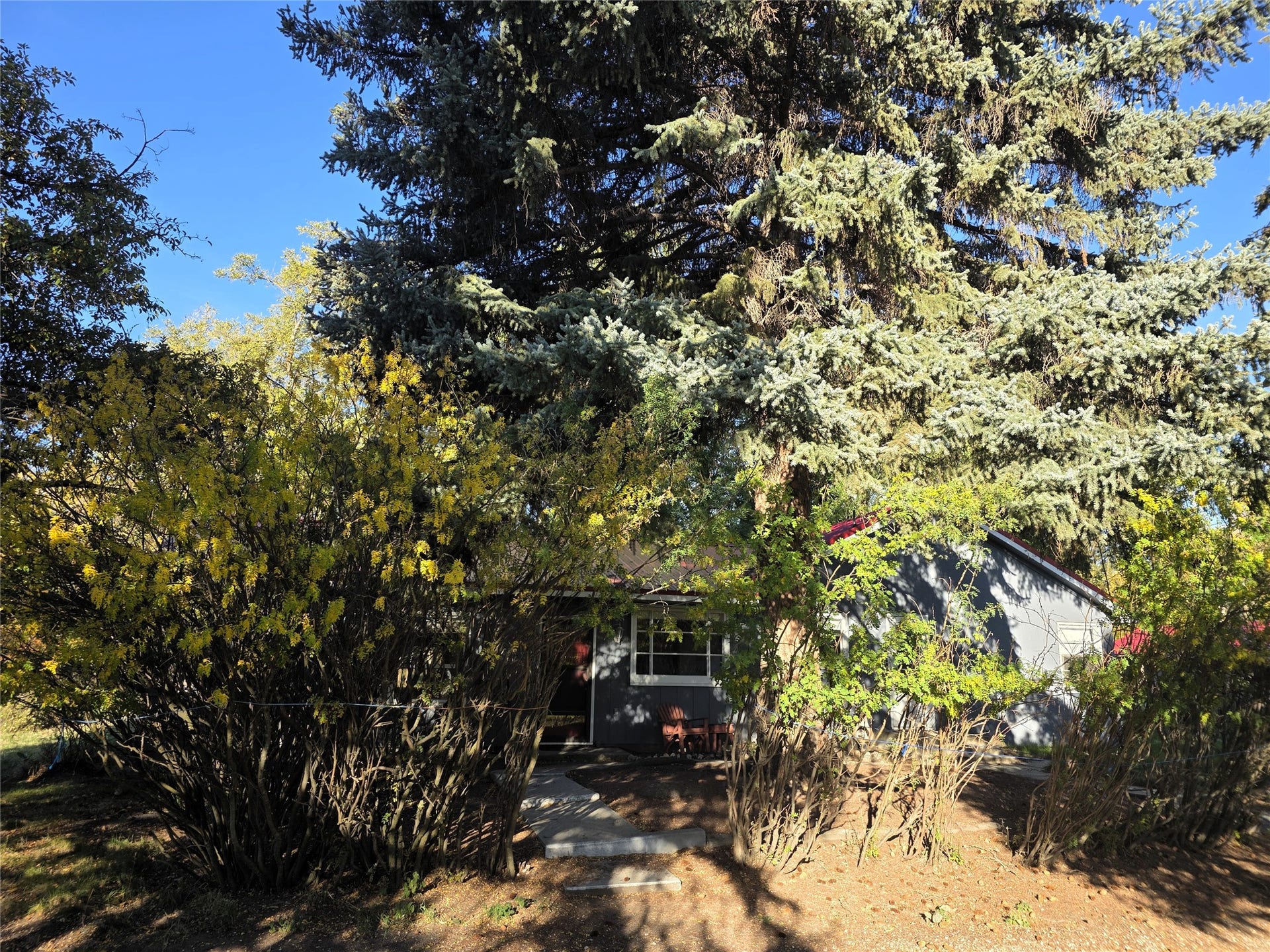 115 Ricketts Road, Hamilton, MT 59840 Mature trees in front of home